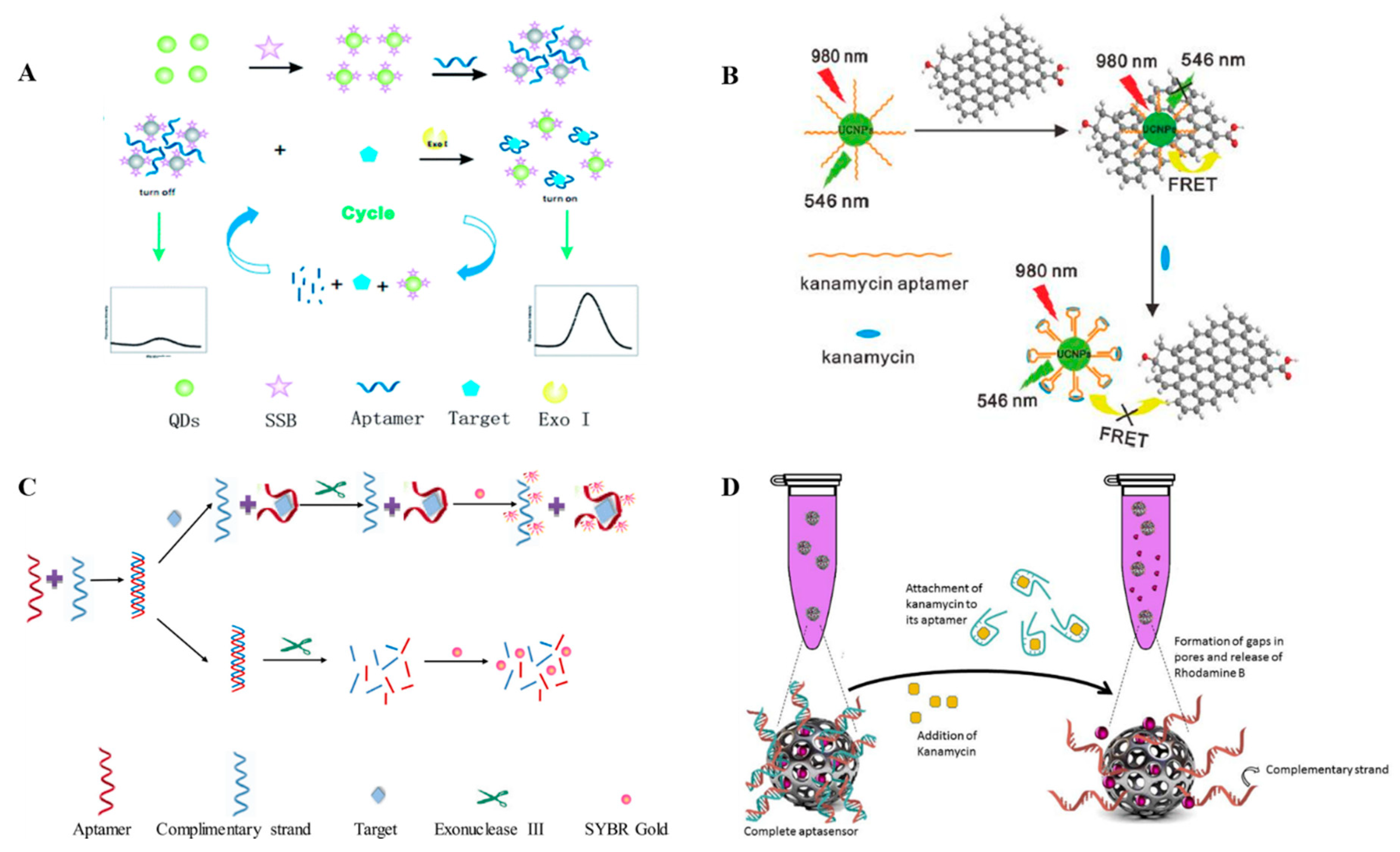 Antibiotics 09 00787 g003