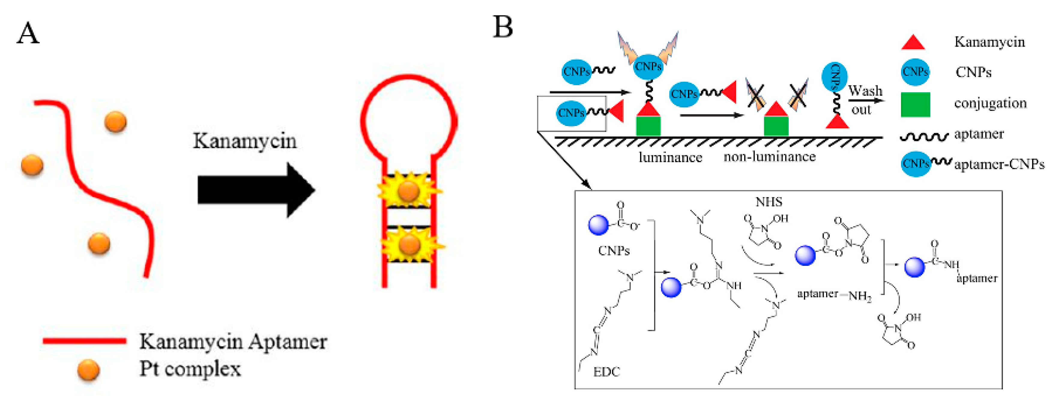 Antibiotics 09 00787 g004