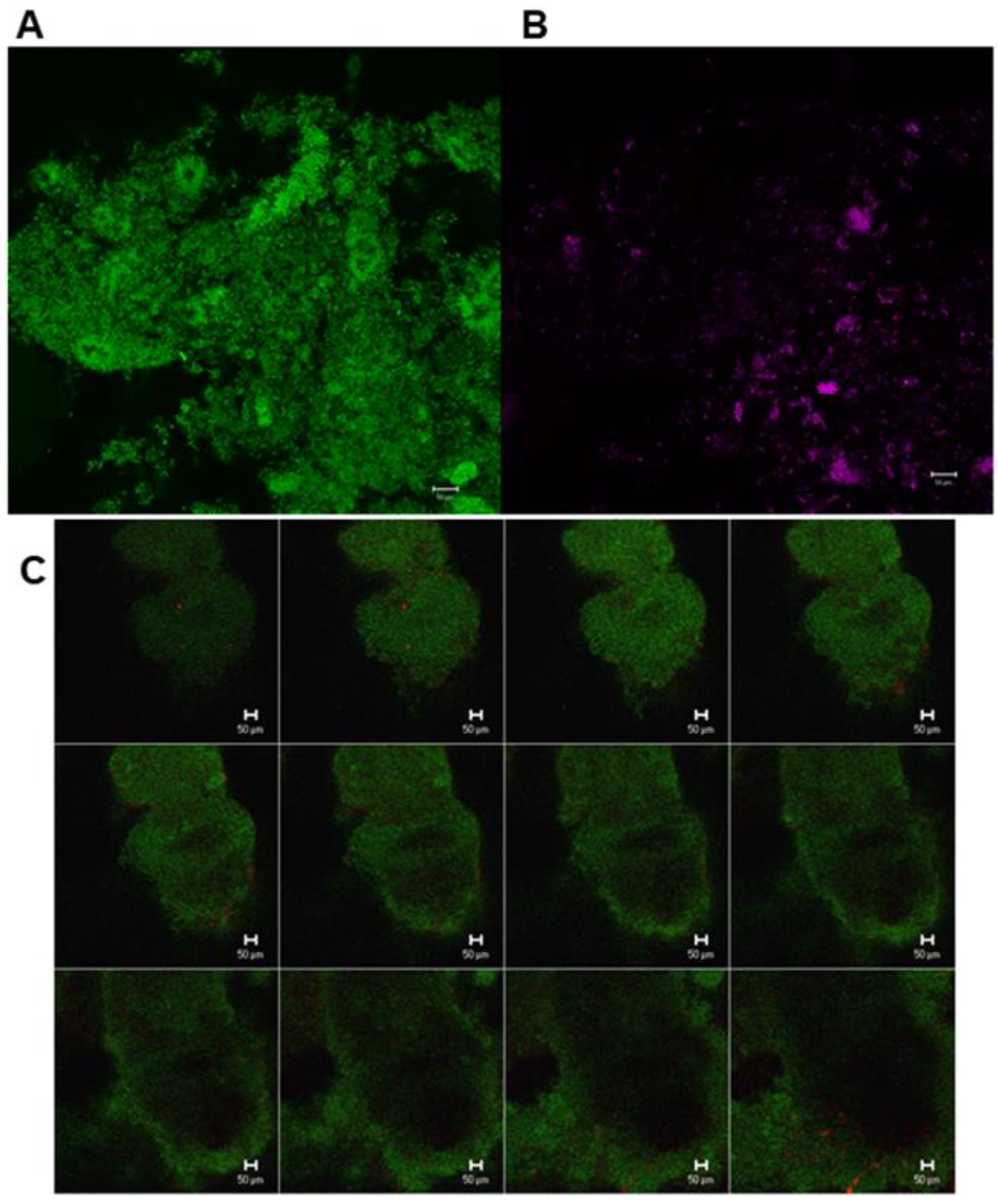 Antibiotics 09 00803 g004