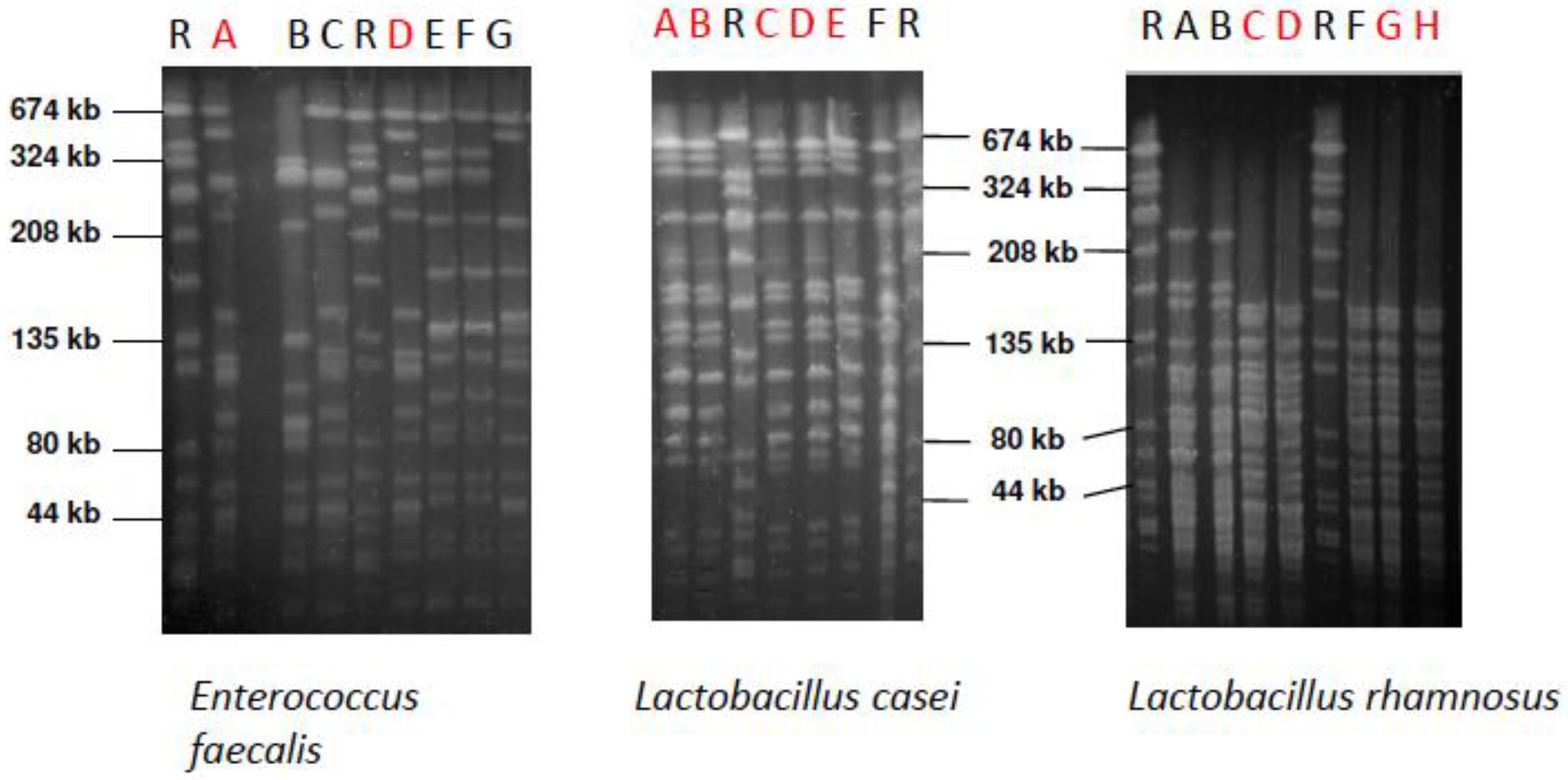 Antibiotics 09 00803 g005