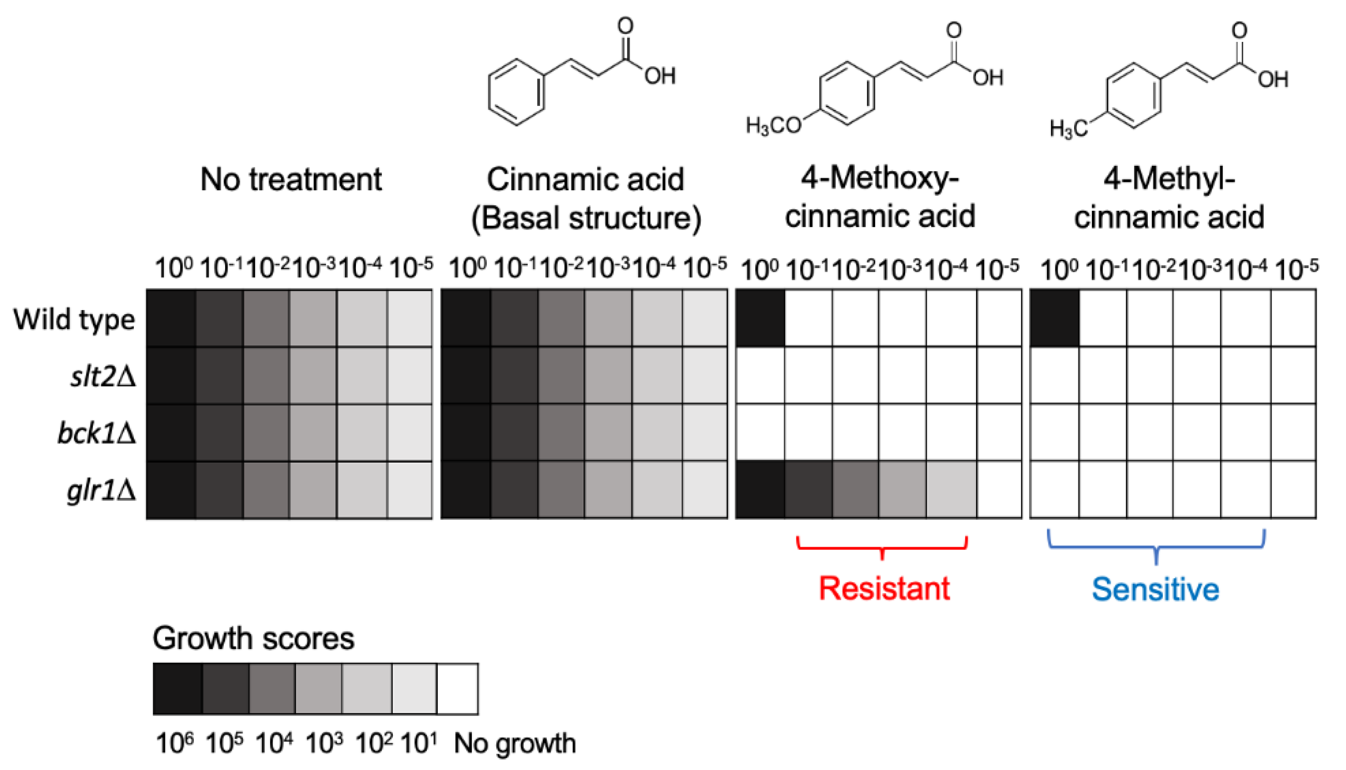 Antibiotics 09 00812 g001