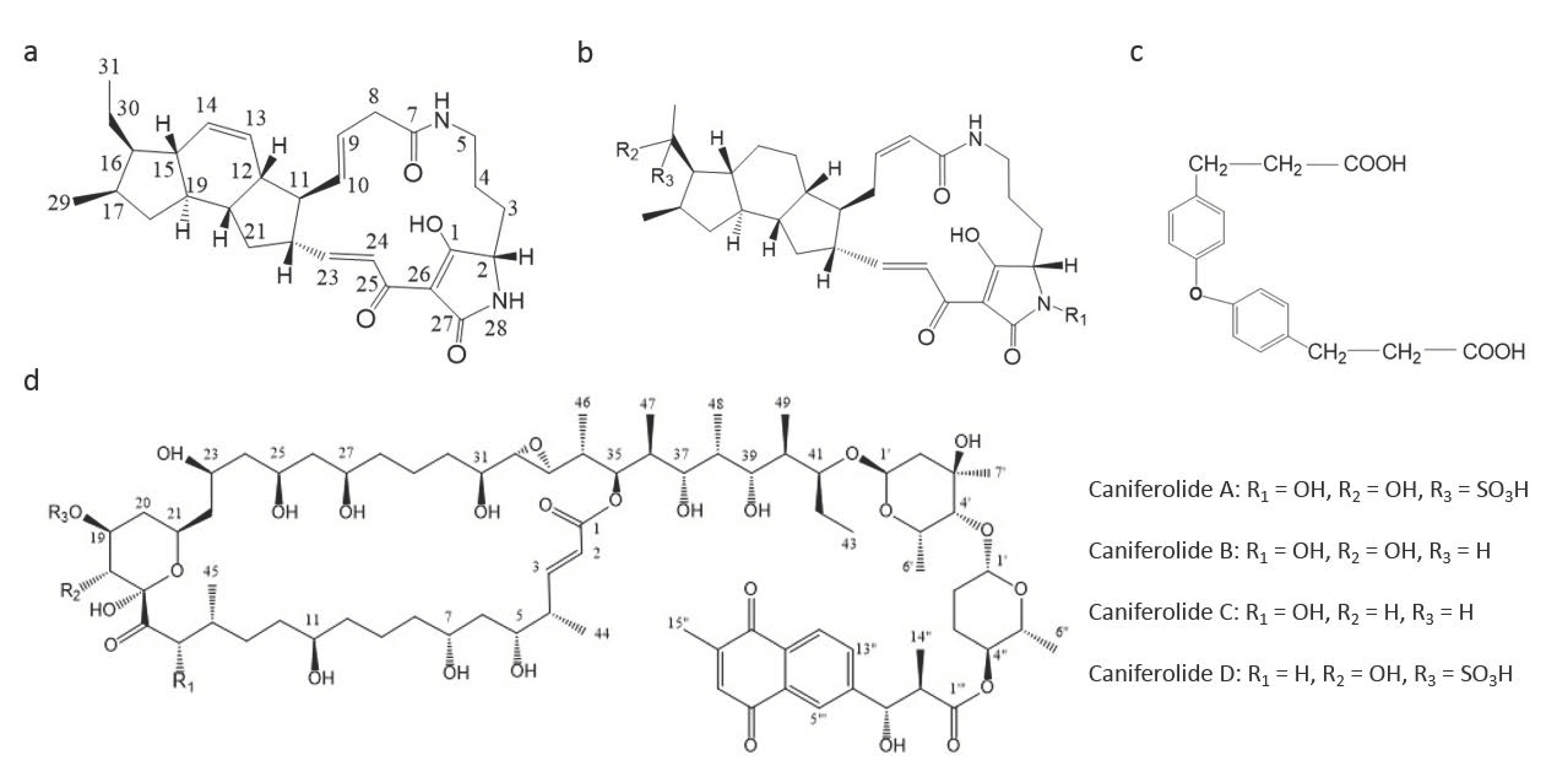 Antibiotics 09 00813 g001