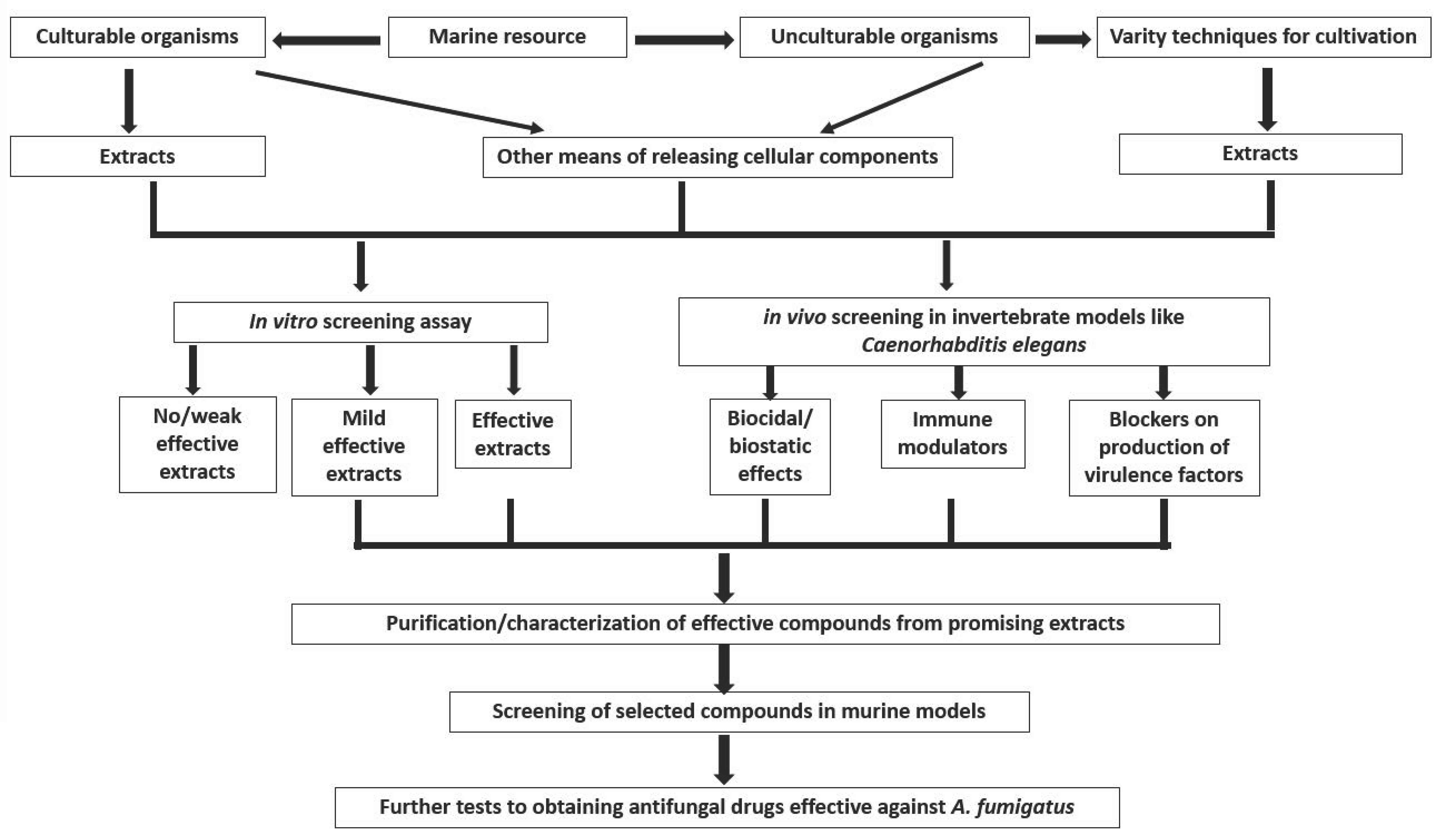 Antibiotics 09 00813 g005