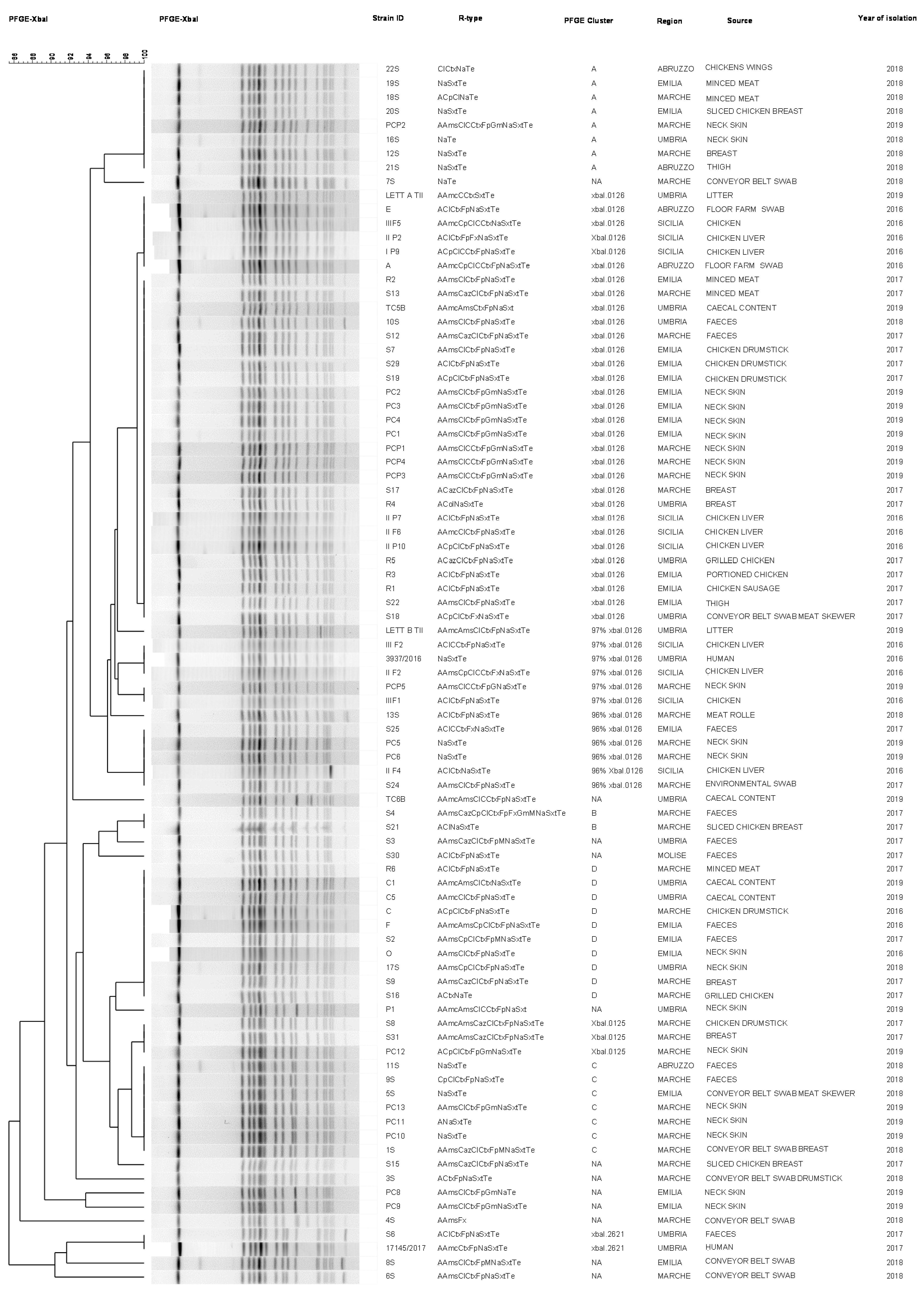 Antibiotics 09 00814 g002