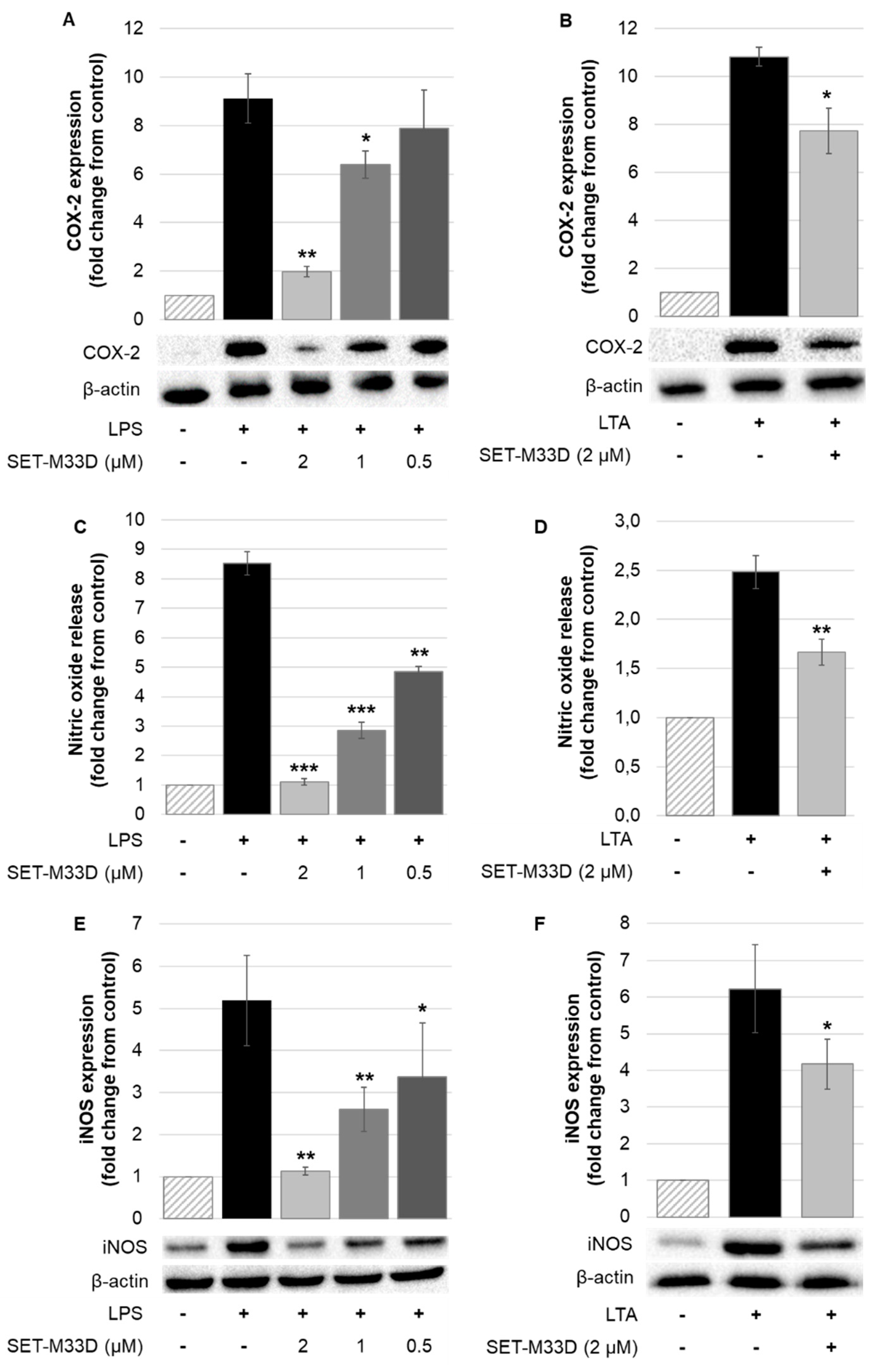 Antibiotics 09 00840 g004