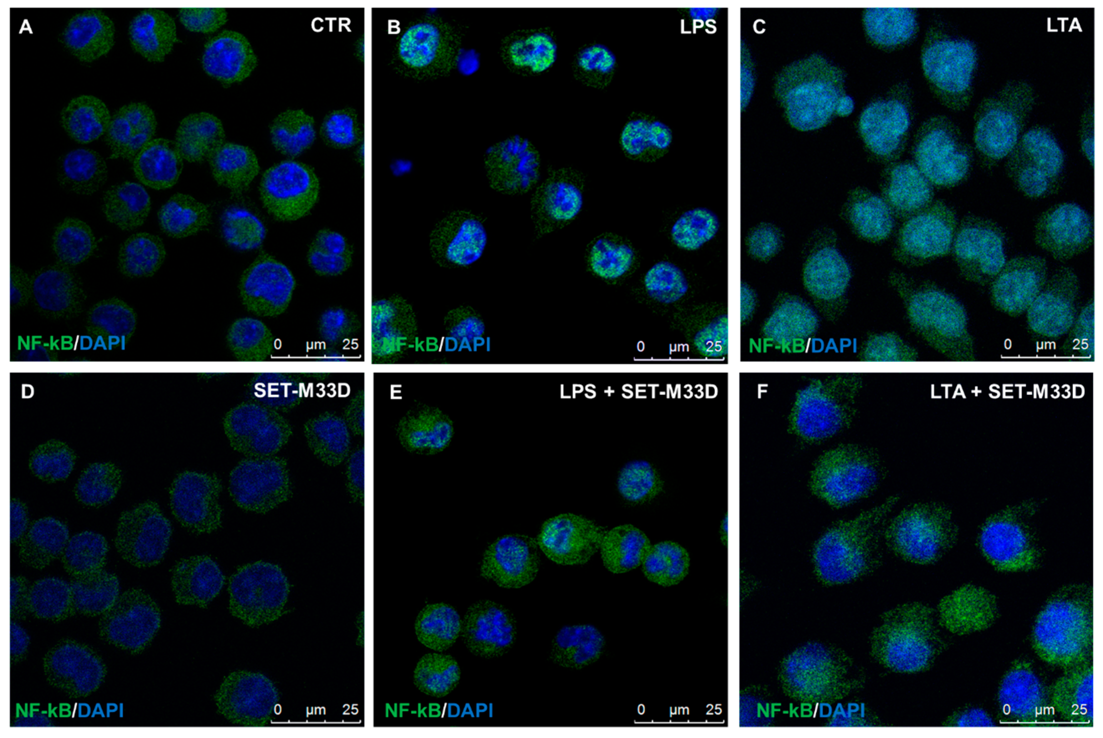 Antibiotics 09 00840 g005