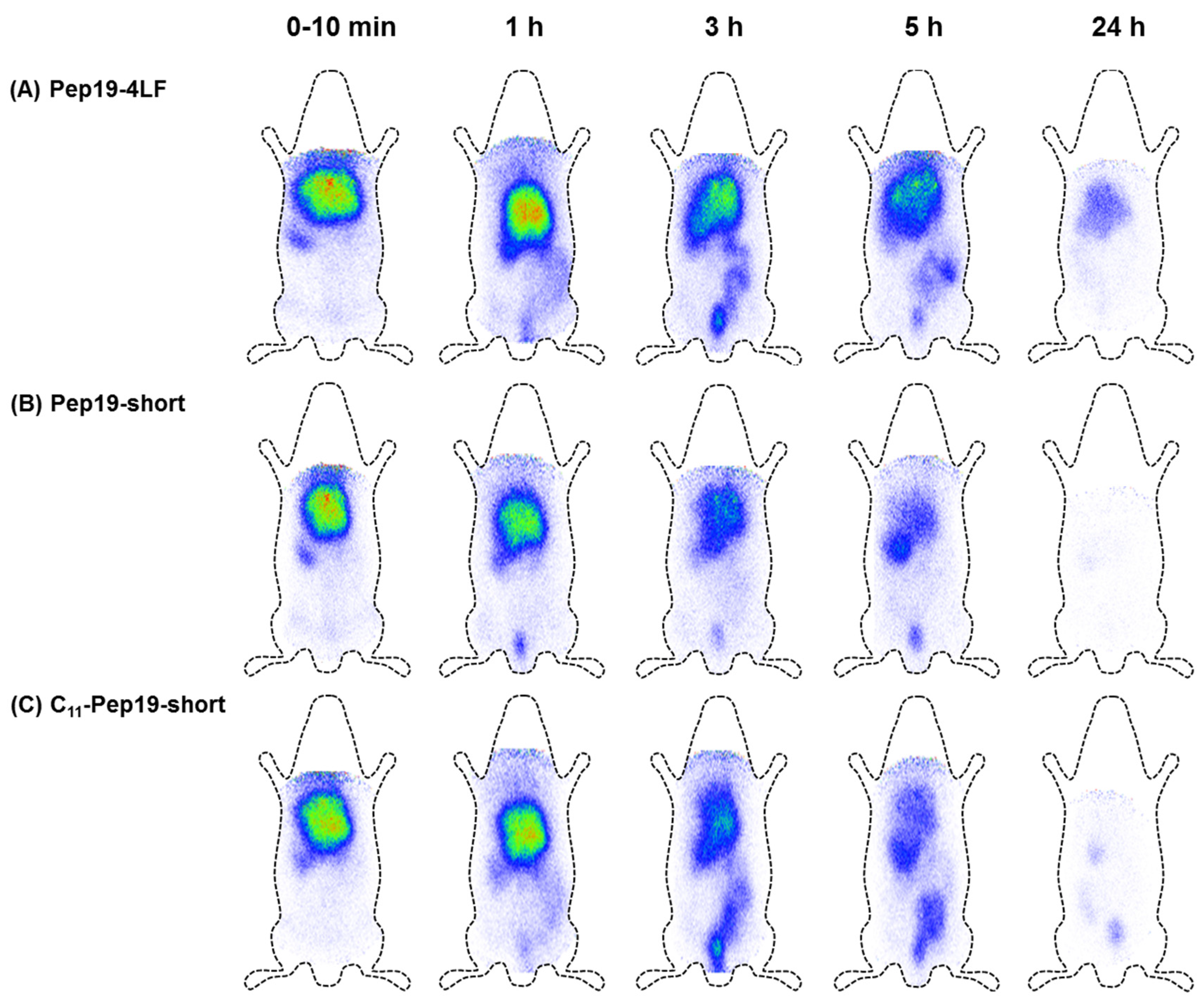 Antibiotics 09 00844 g004