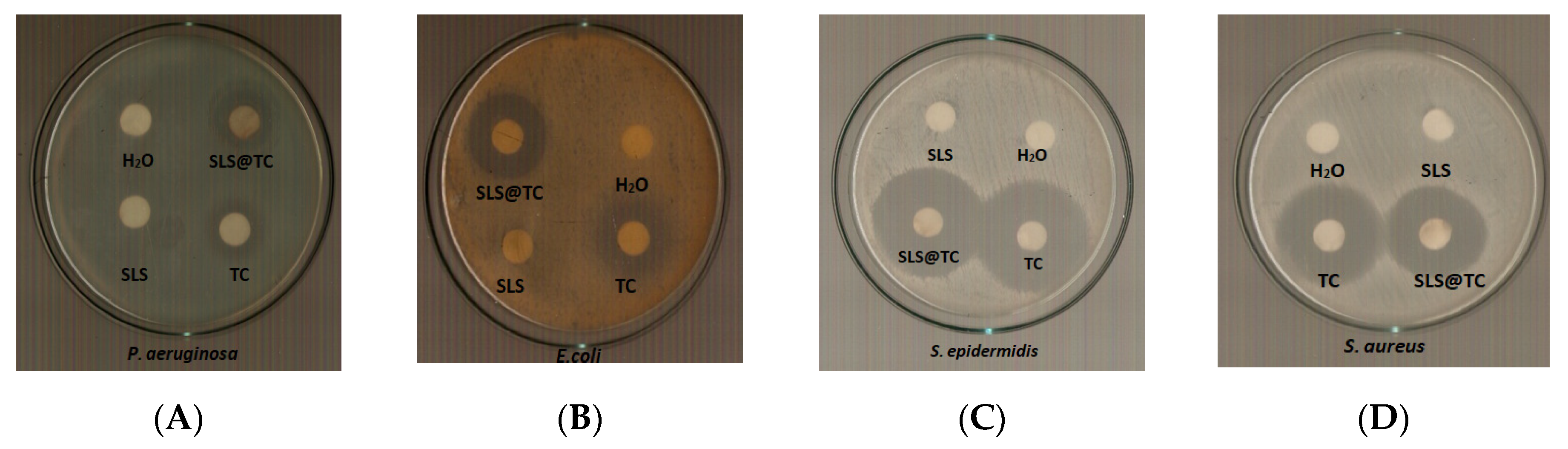 Antibiotics 09 00845 g012 Antibiotics 09 00845 g012