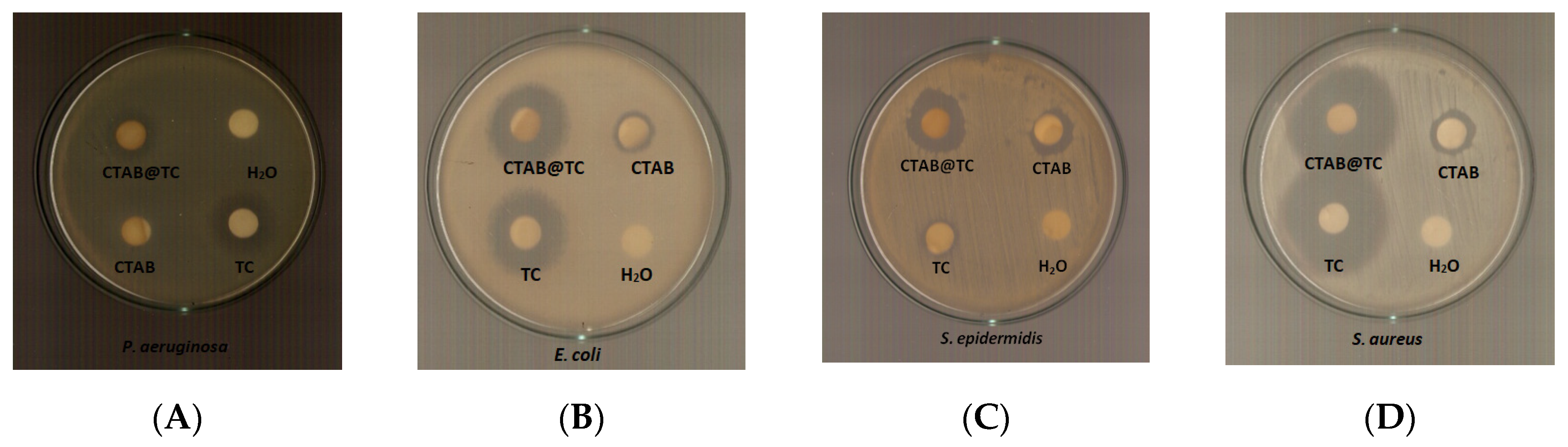 Antibiotics 09 00845 g013 Antibiotics 09 00845 g013
