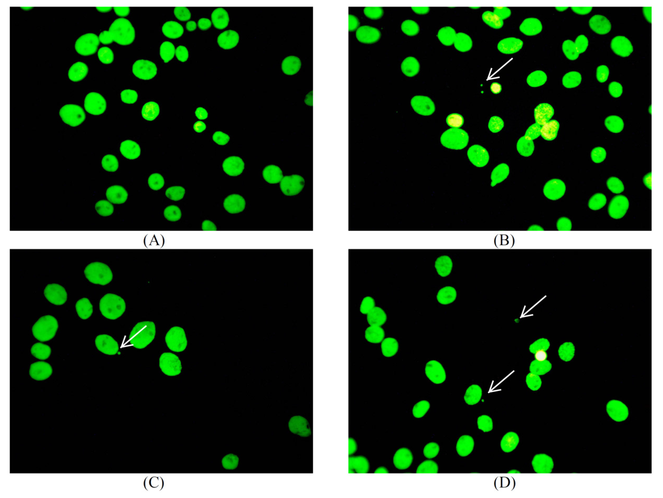 Antibiotics 09 00845 g014 Antibiotics 09 00845 g014