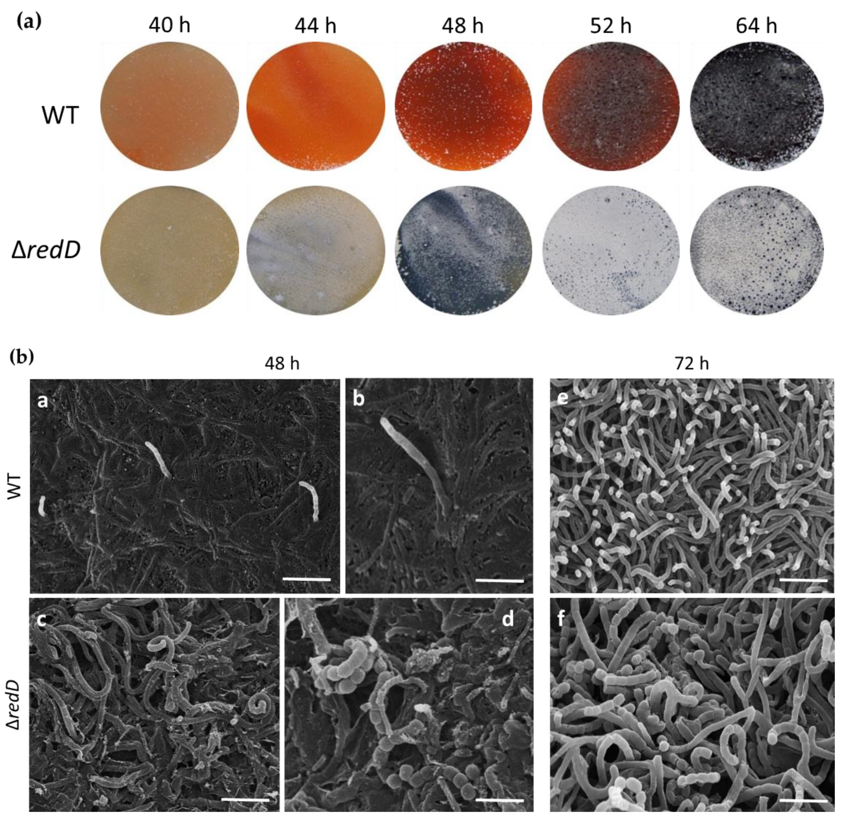 Antibiotics 09 00847 g001 Antibiotics 09 00847 g001