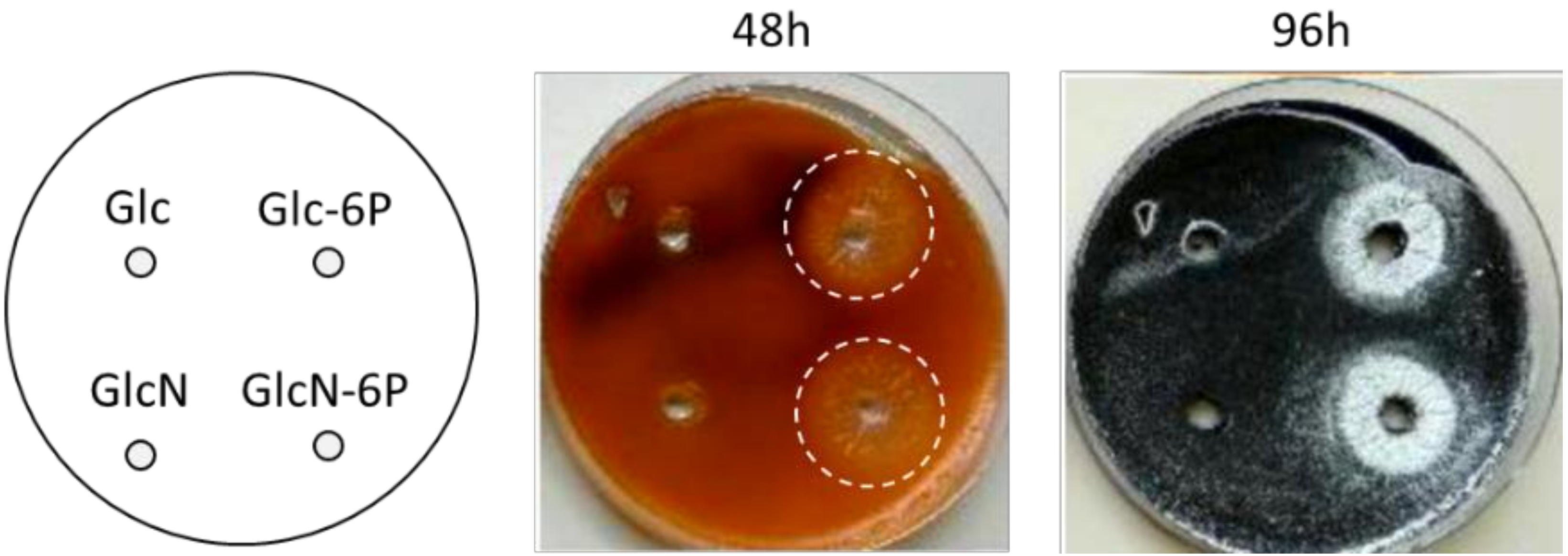Antibiotics 09 00847 g003 Antibiotics 09 00847 g003