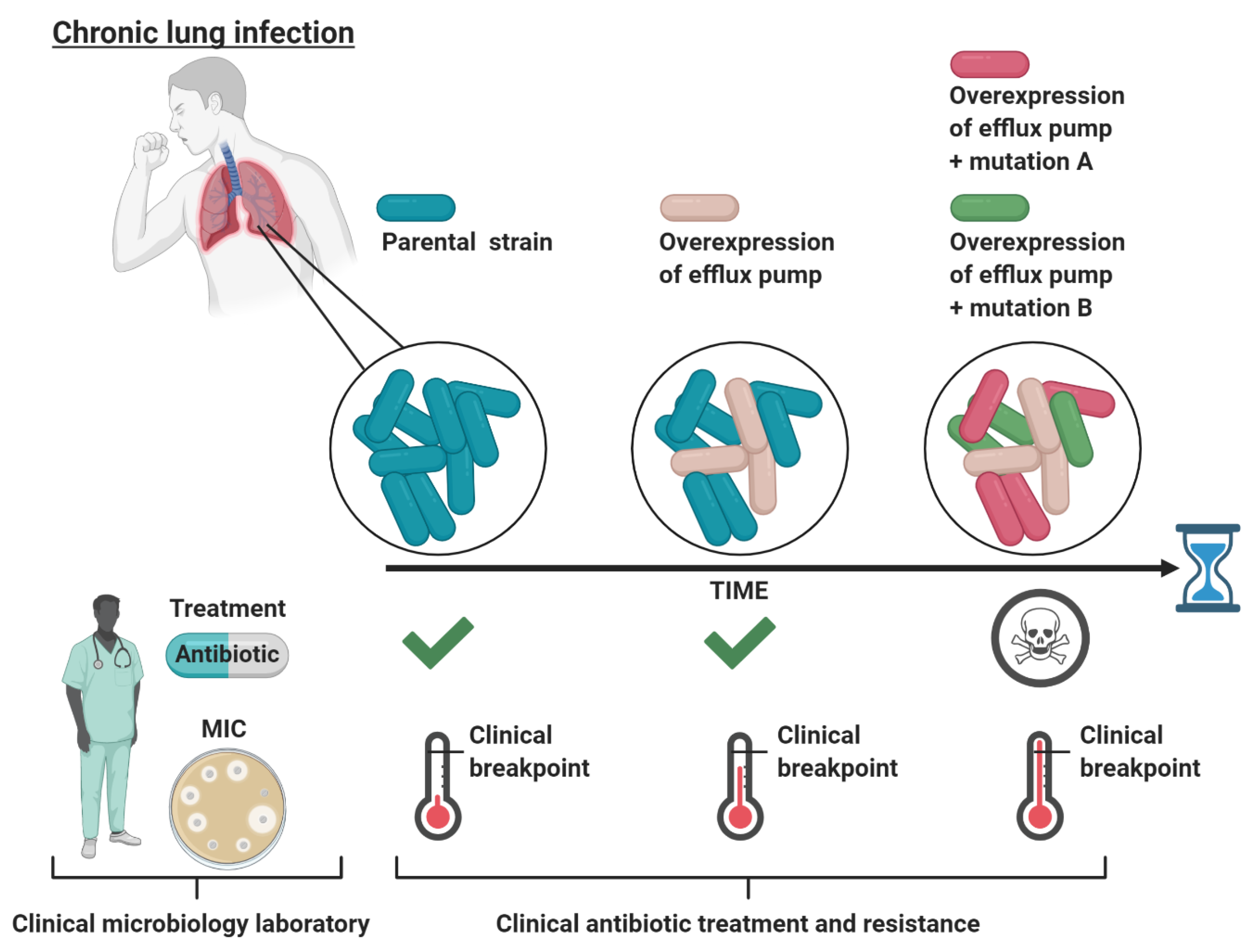 Antibiotics 09 00855 g001 Antibiotics 09 00855 g001