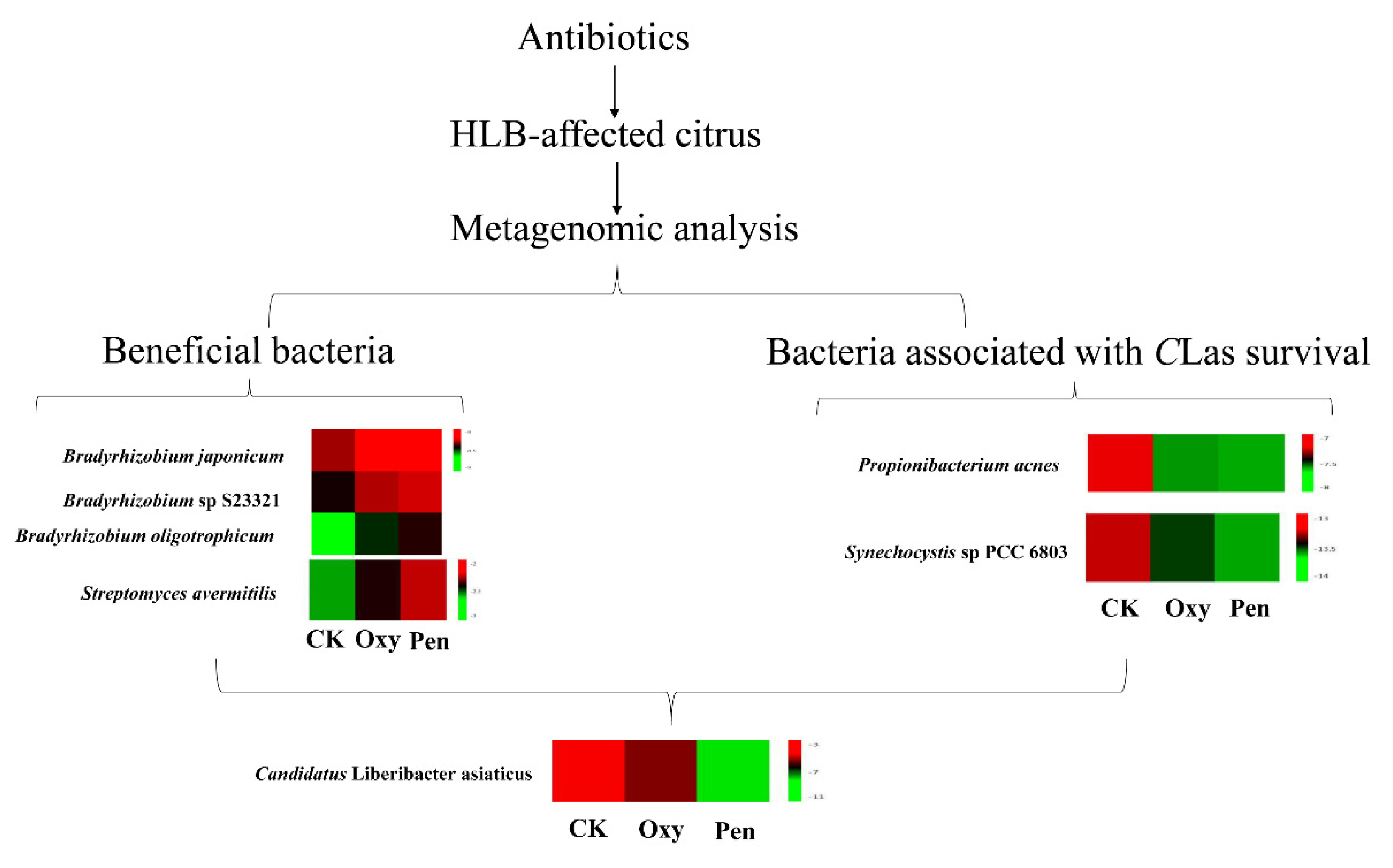 Antibiotics 09 00874 g006 Antibiotics 09 00874 g006