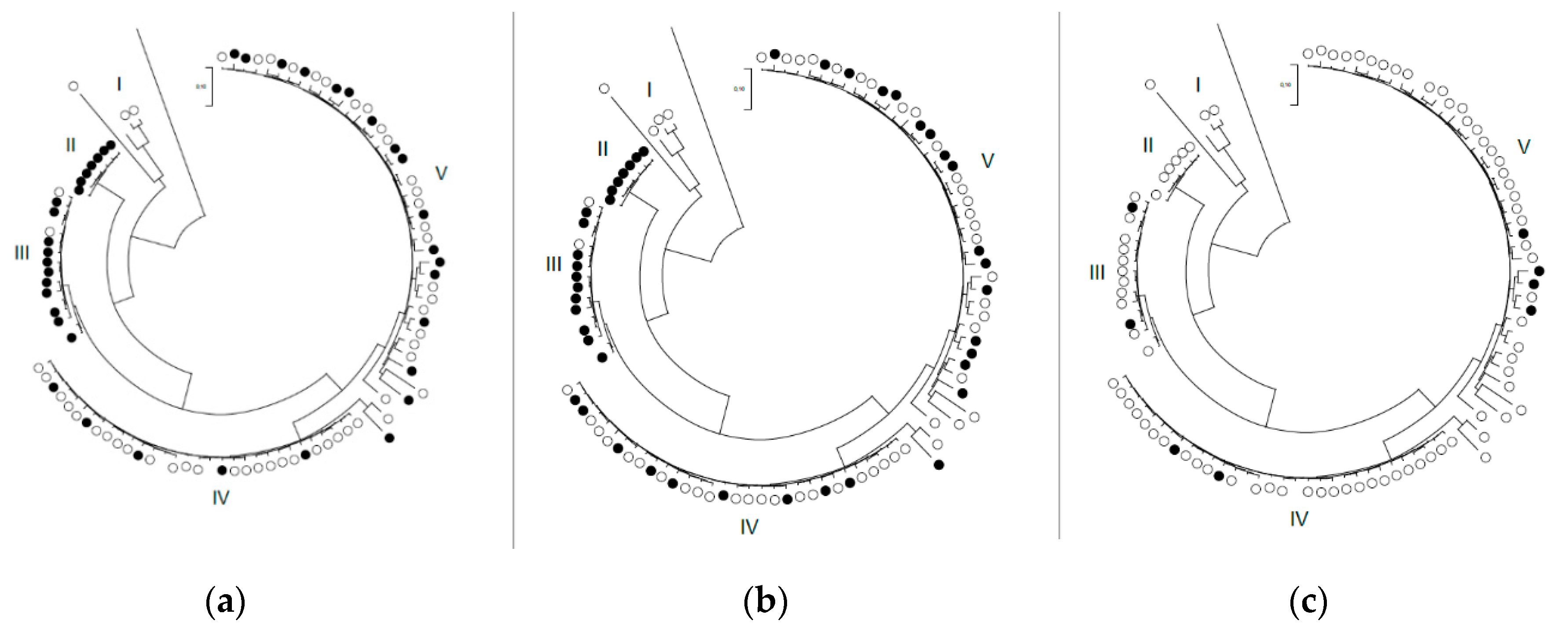 Antibiotics 09 00882 g001