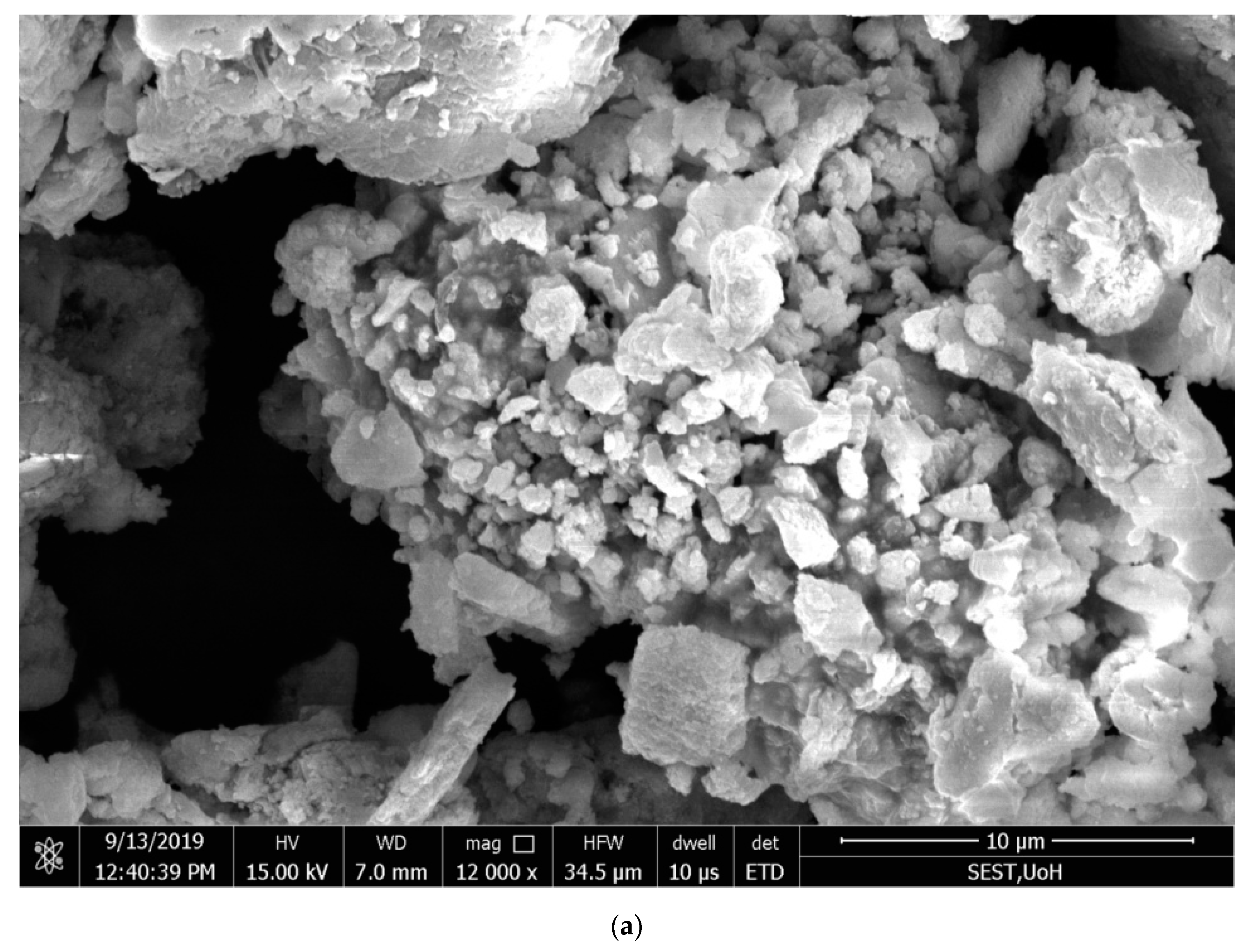 Antibiotics 09 00902 g004a Antibiotics 09 00902 g004a