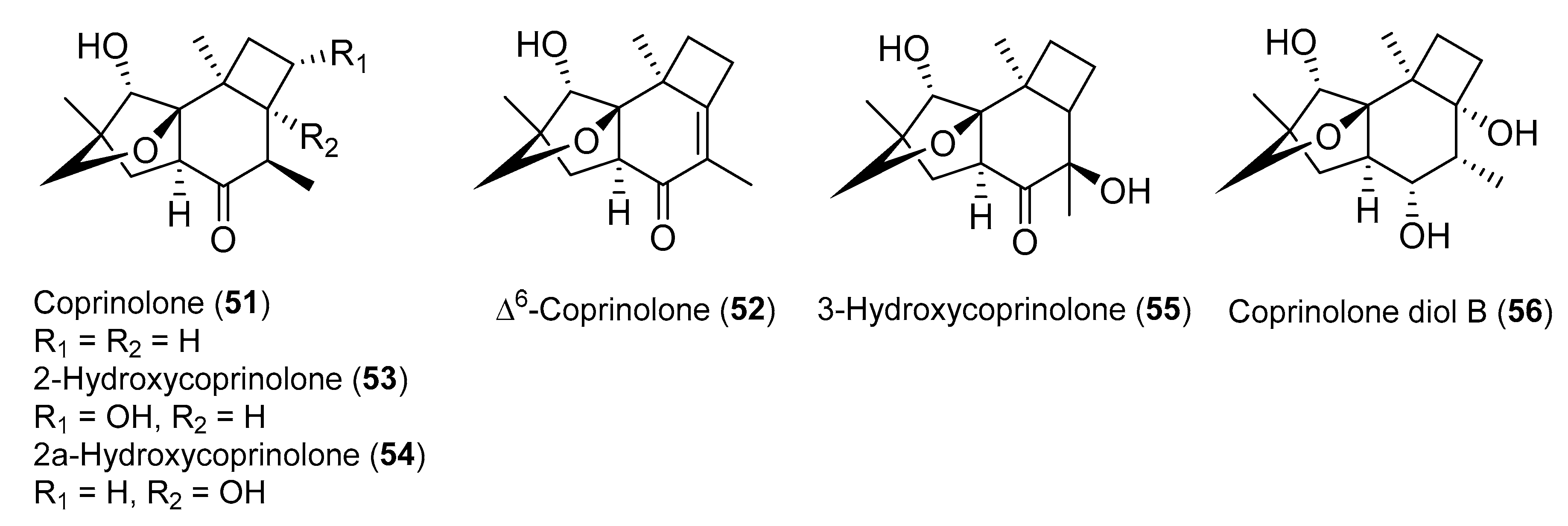 Antibiotics 09 00928 g011 Antibiotics 09 00928 g011