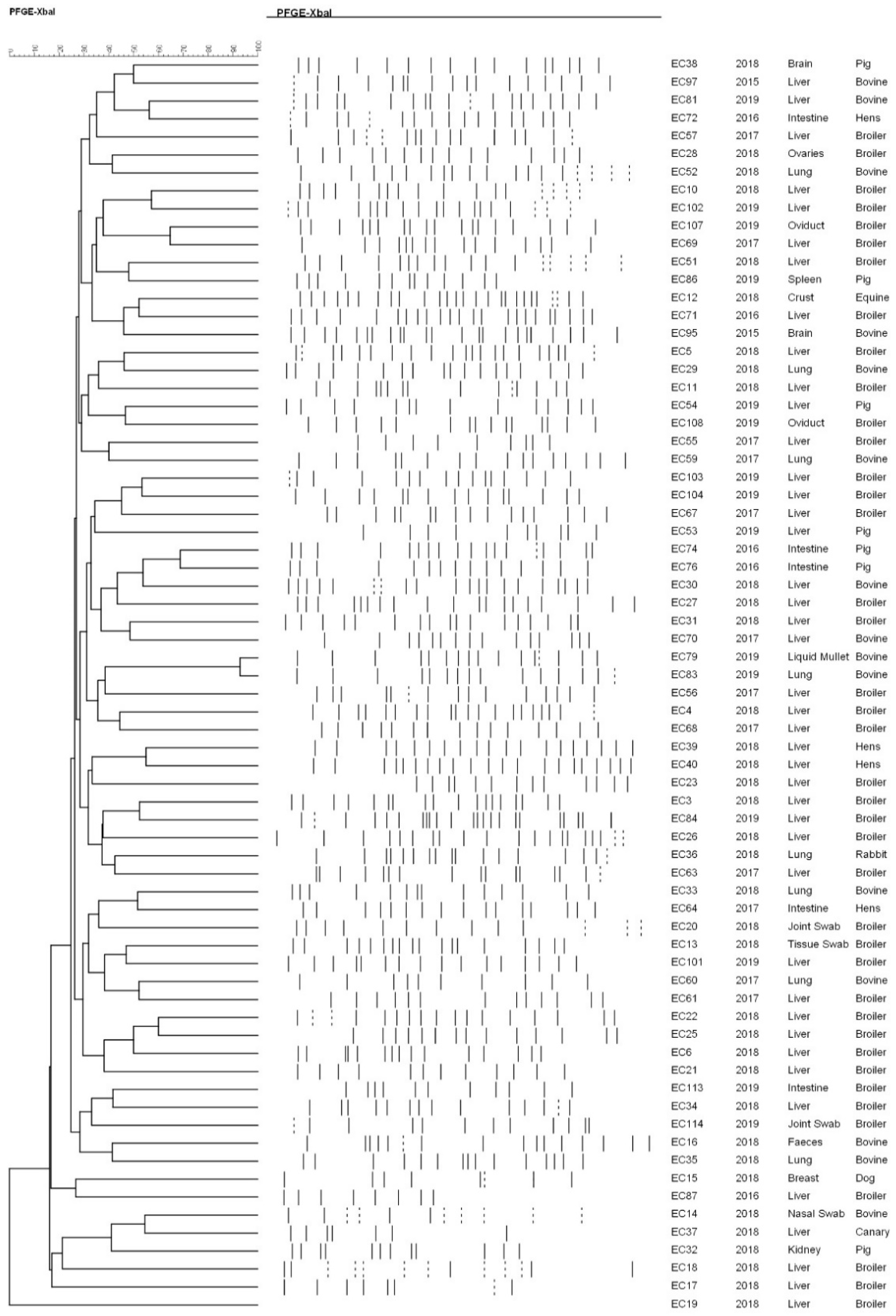 Antibiotics 10 00028 g002 Antibiotics 10 00028 g002