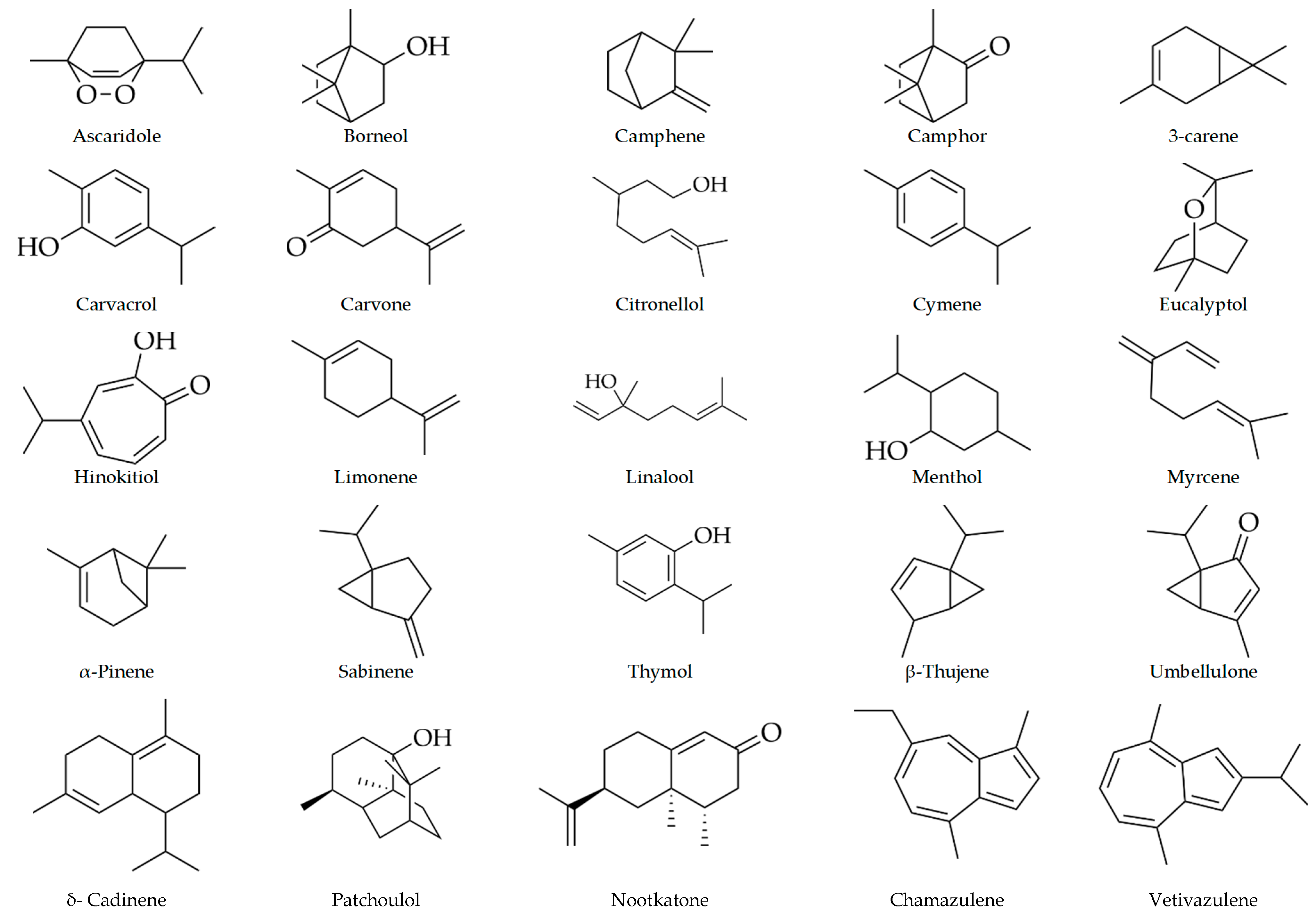 Antibiotics 10 00034 g001