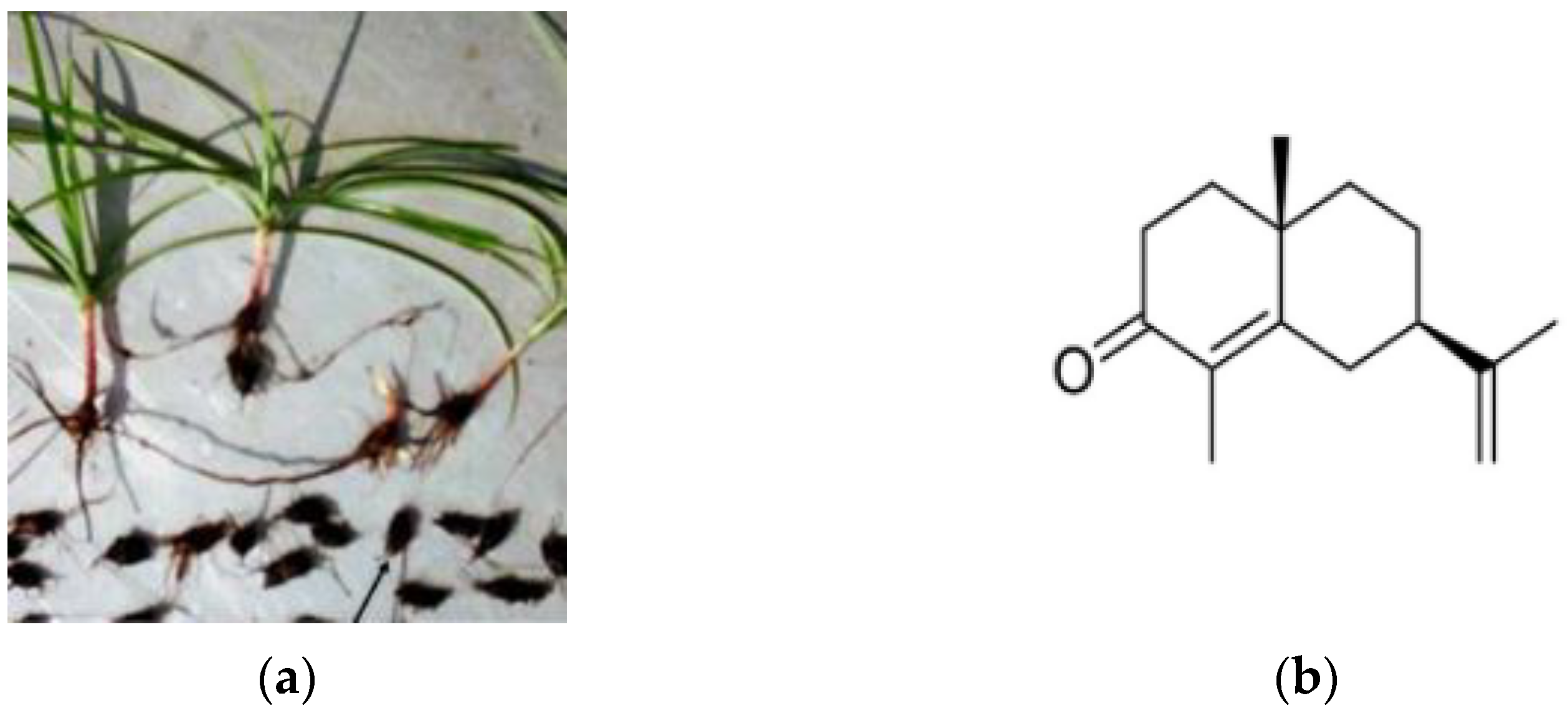 Antibiotics 10 00051 g001
