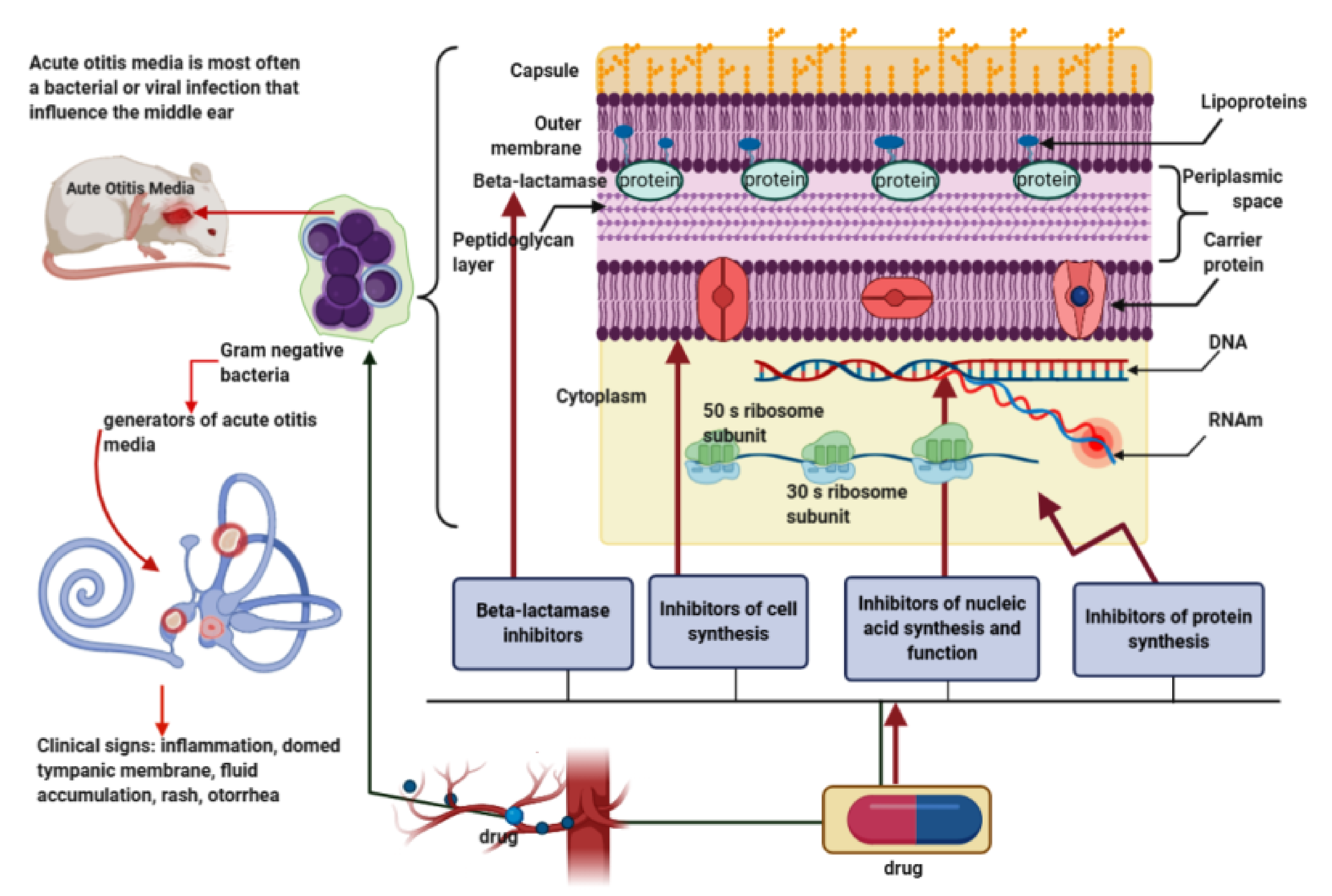Antibiotics 10 00052 g001 Antibiotics 10 00052 g001