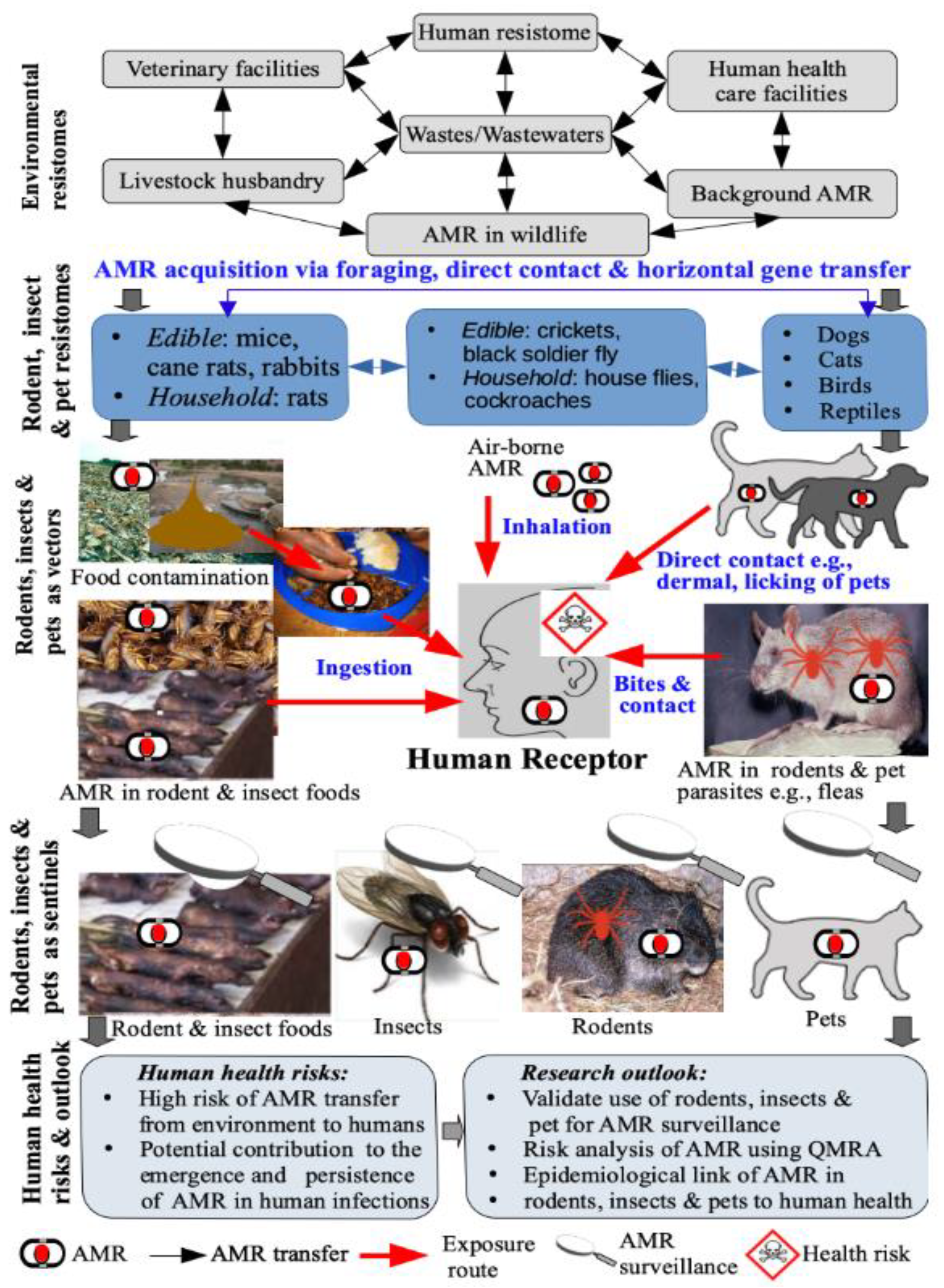 Antibiotics 10 00068 g001