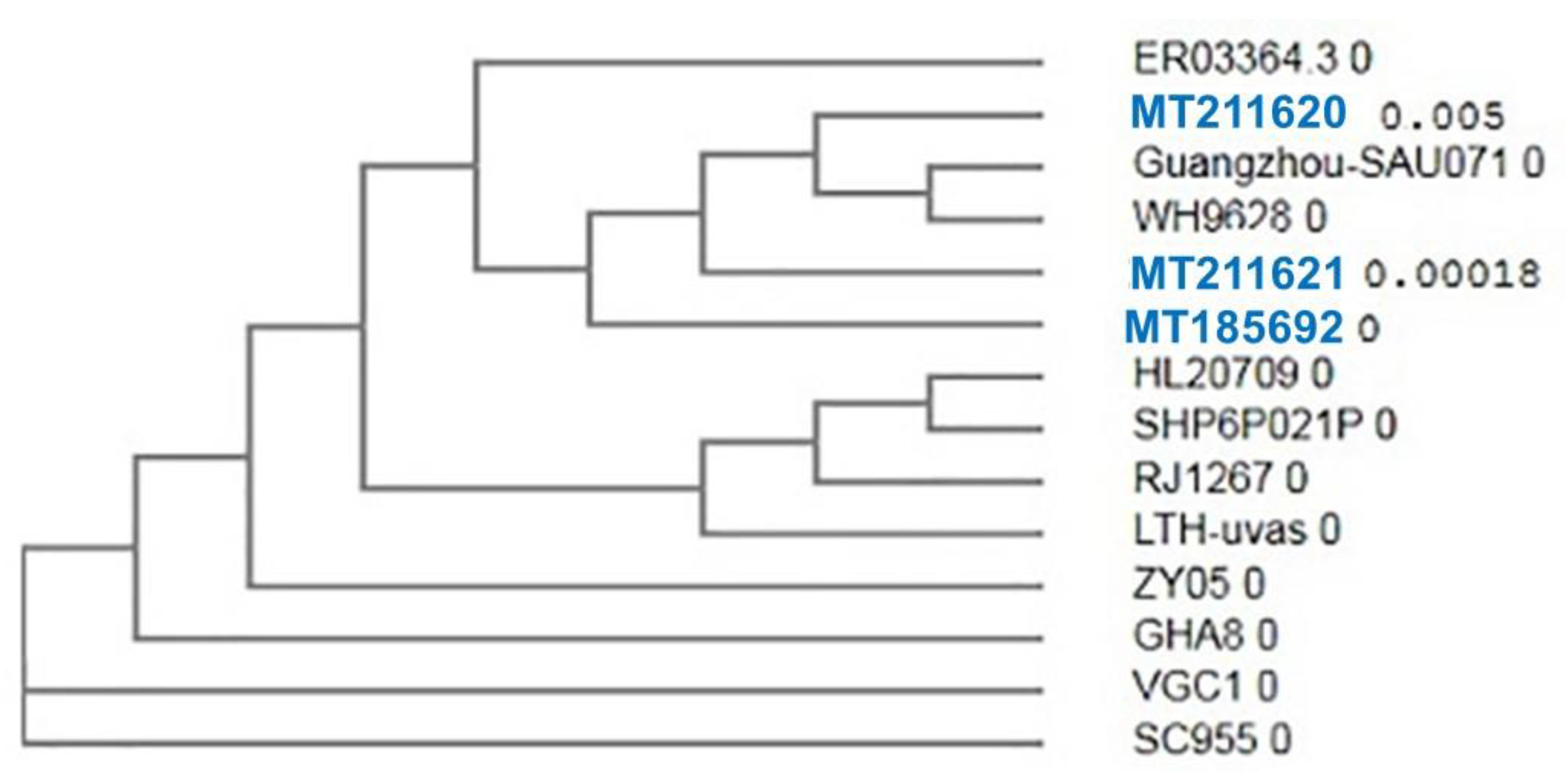 Antibiotics 10 00075 g003