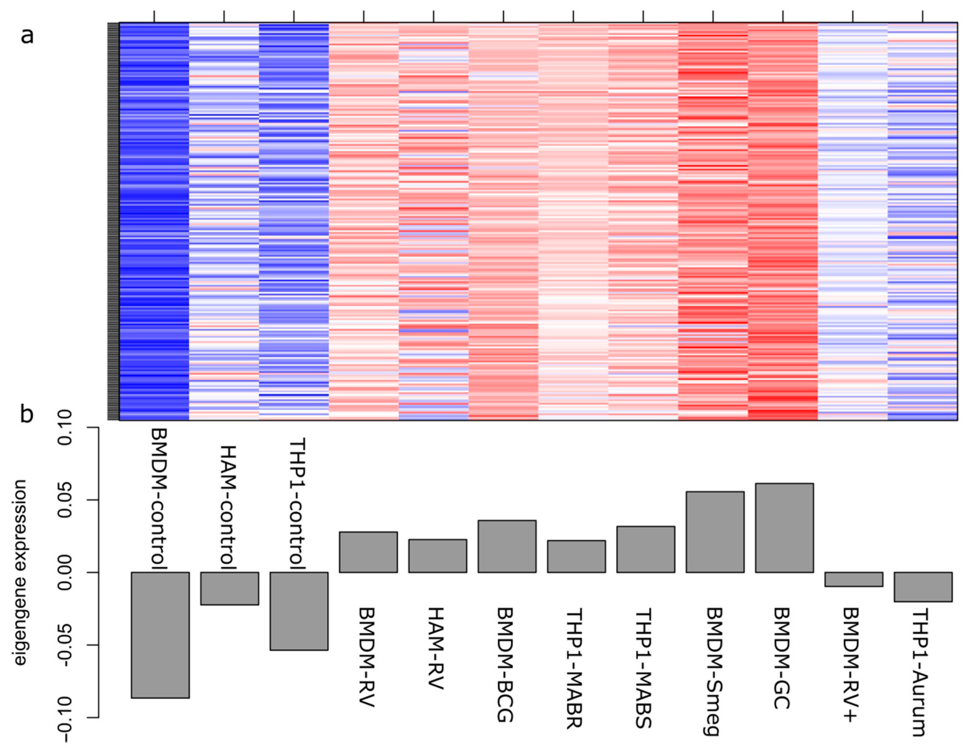 Antibiotics 10 00097 g005
