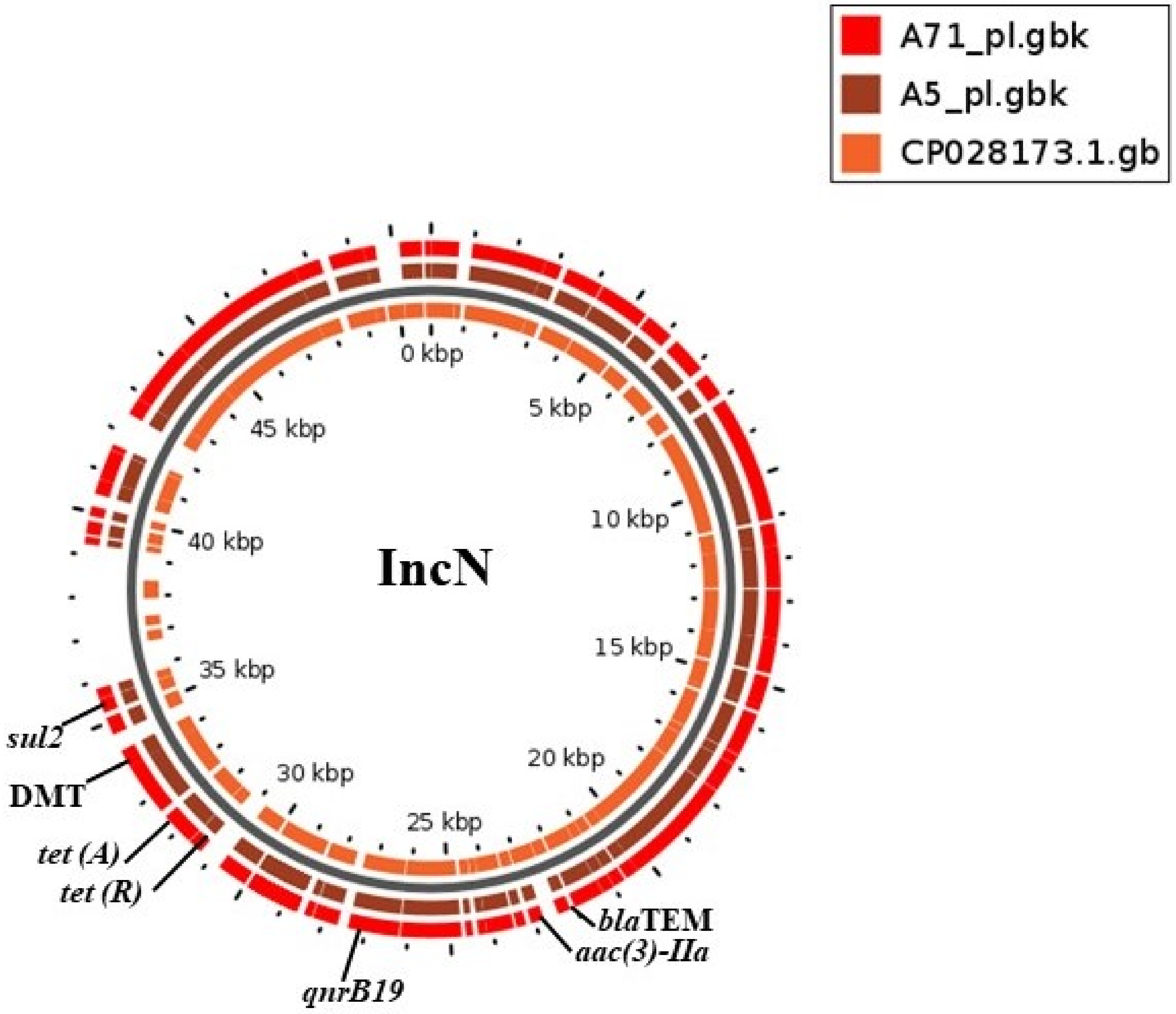 Antibiotics 10 00099 g001