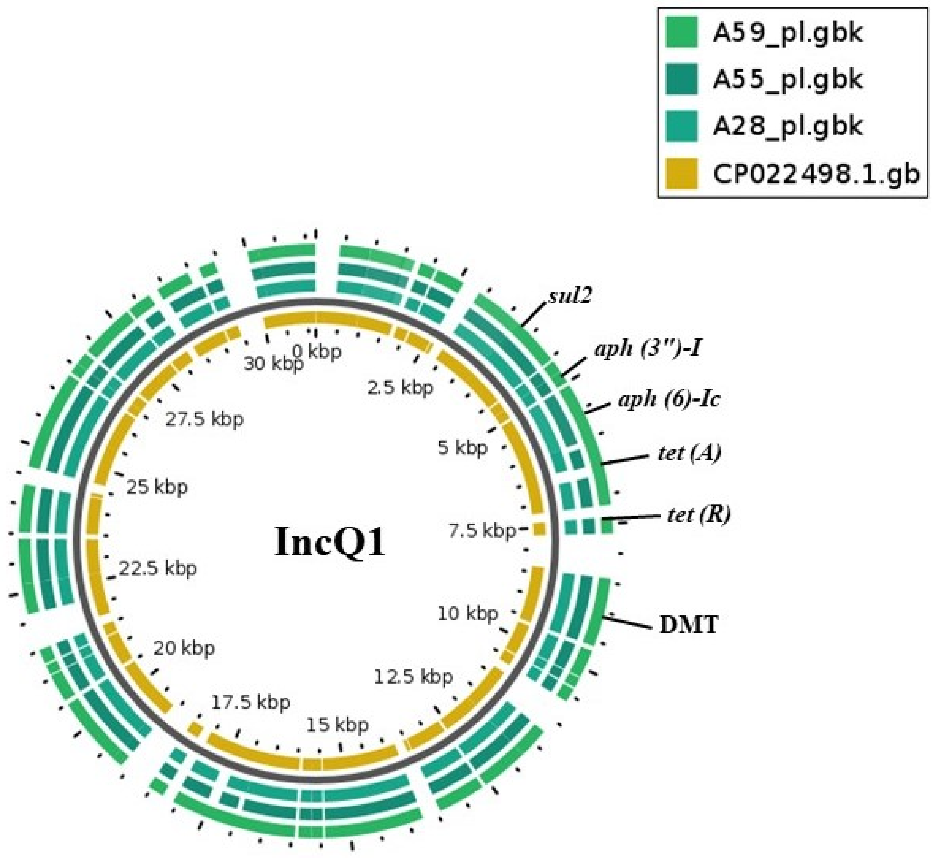 Antibiotics 10 00099 g002