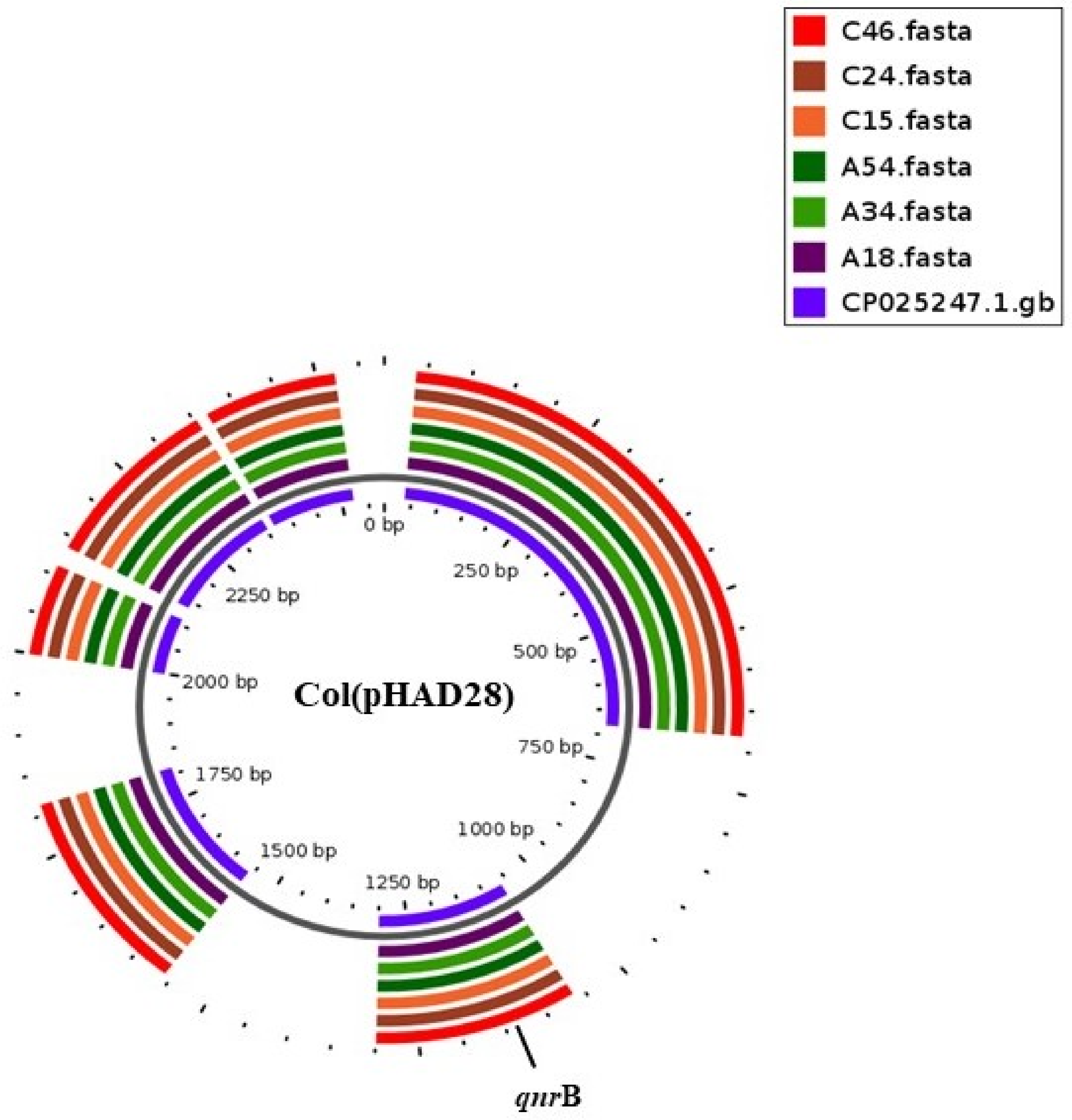 Antibiotics 10 00099 g003