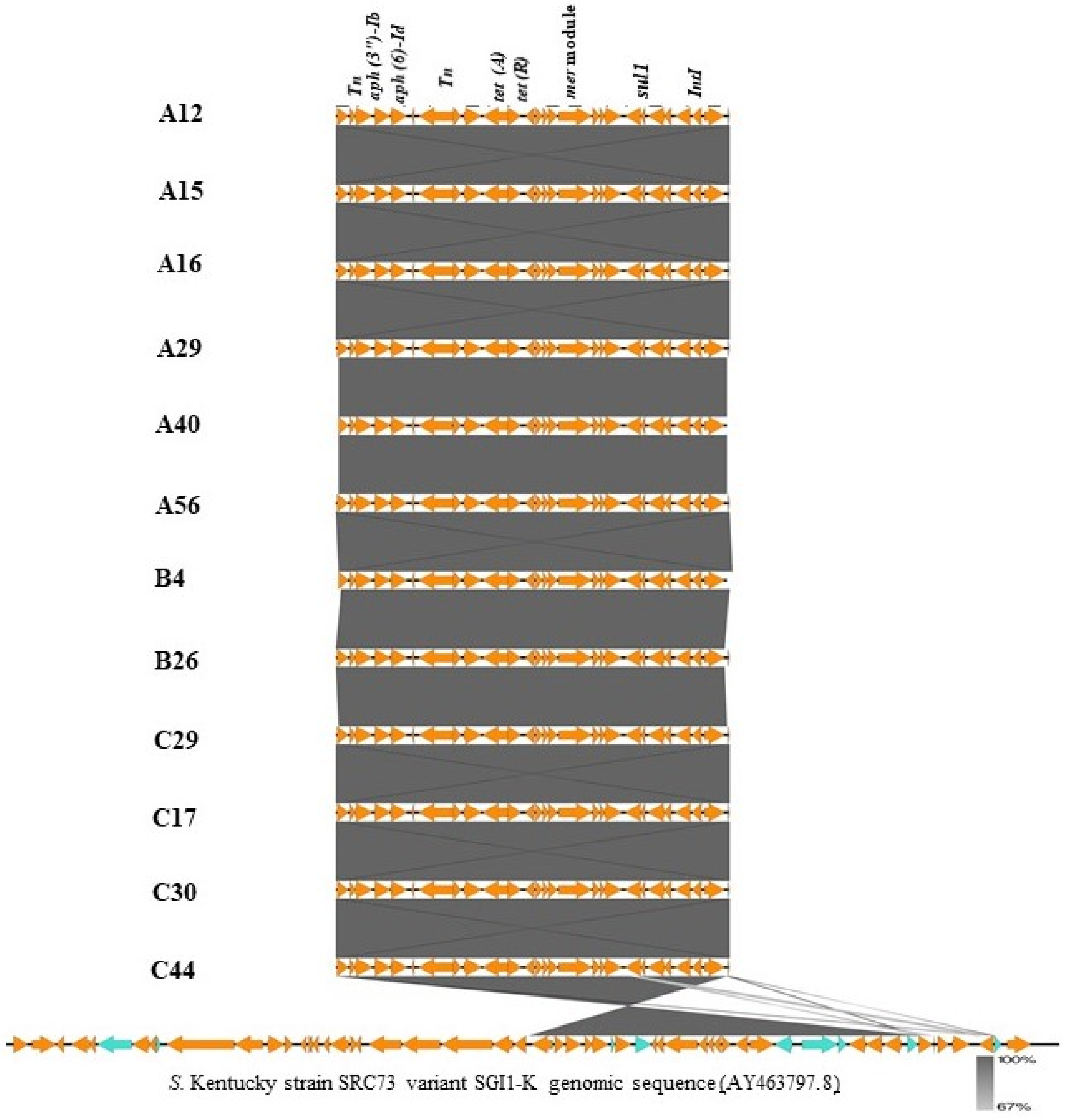 Antibiotics 10 00099 g004