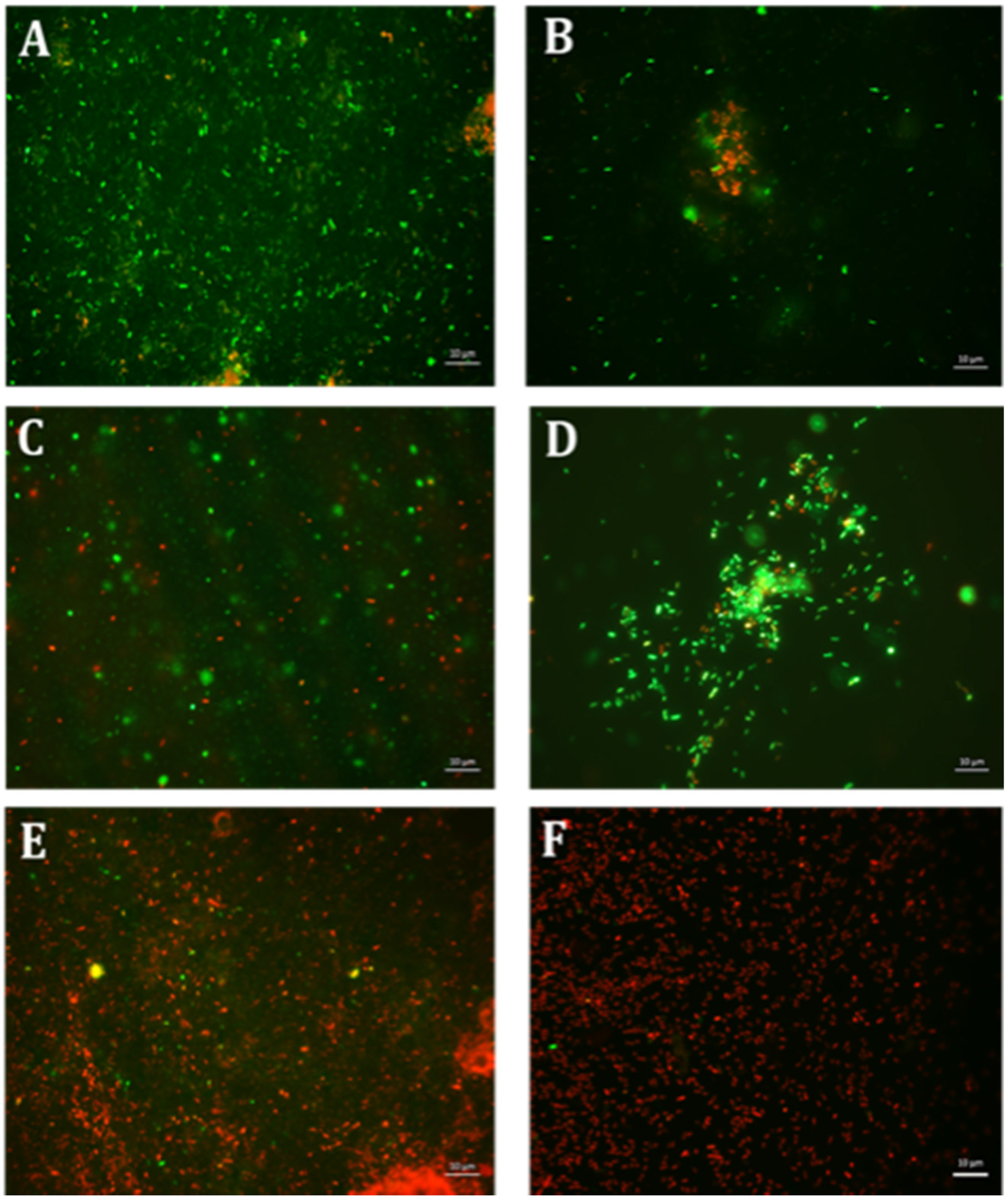 Antibiotics 10 00102 g002 Antibiotics 10 00102 g002