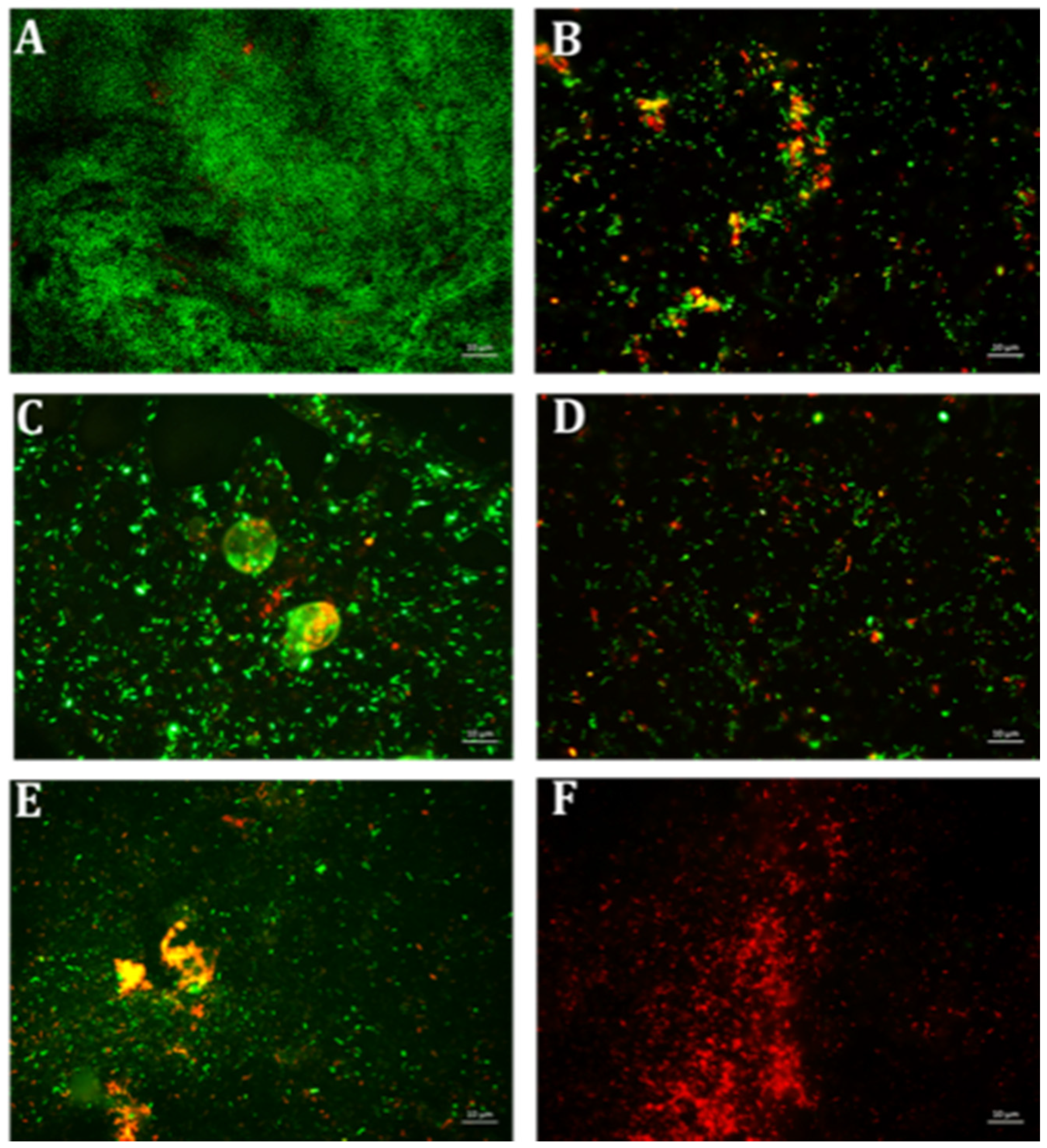 Antibiotics 10 00102 g006 Antibiotics 10 00102 g006