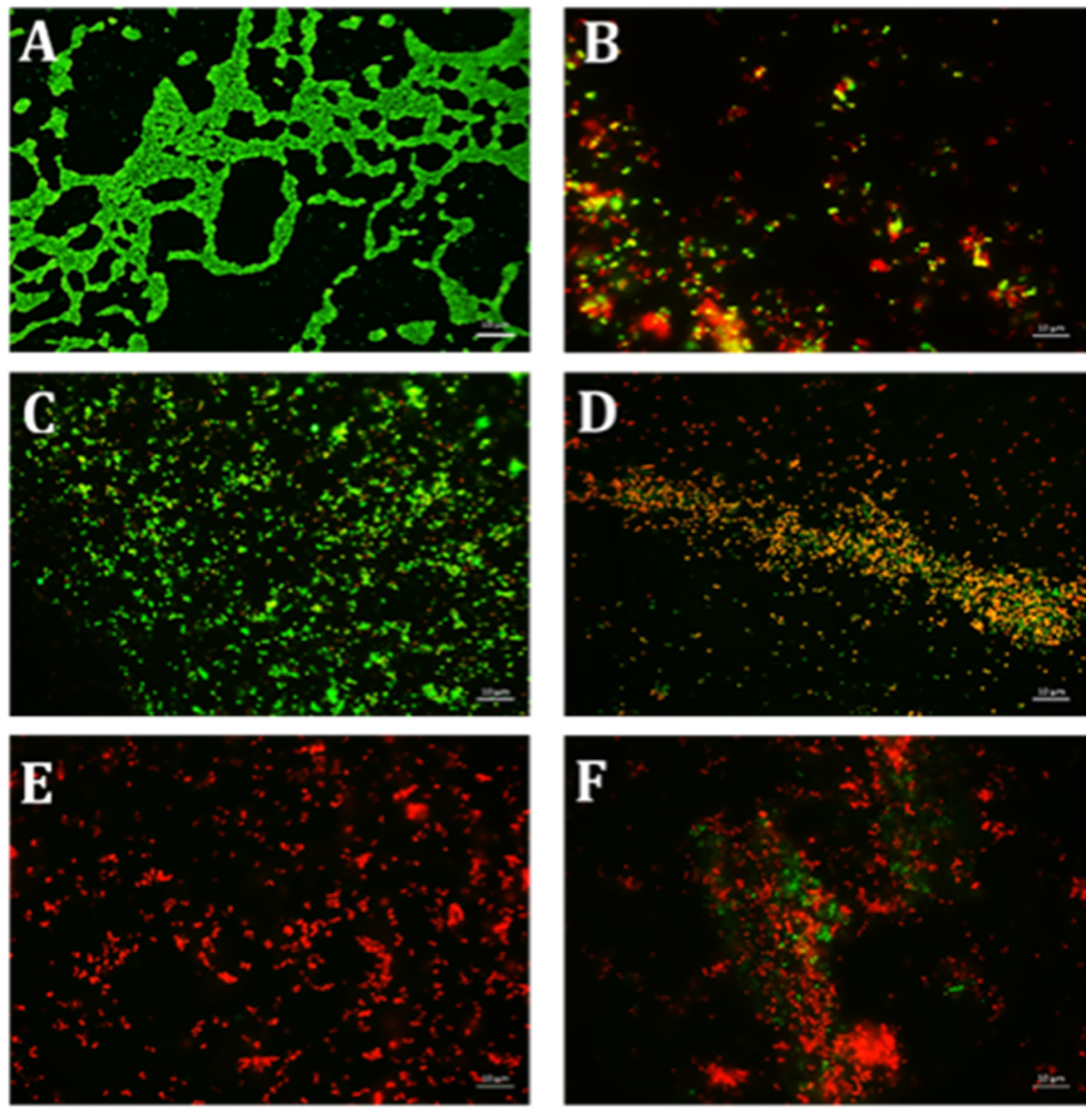 Antibiotics 10 00102 g008 Antibiotics 10 00102 g008