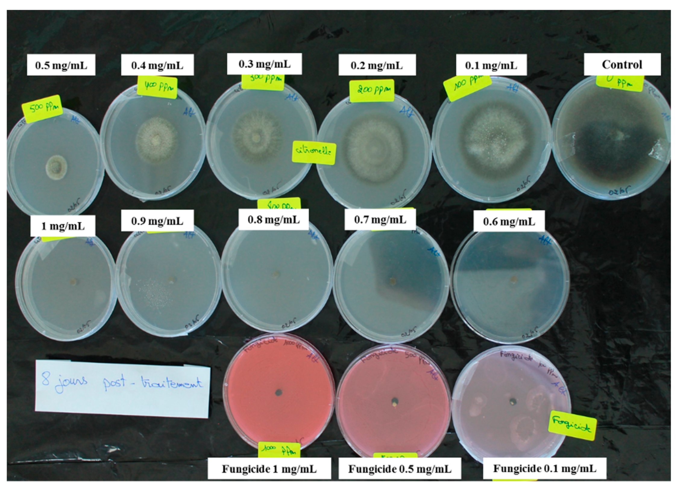 Antibiotics 10 00104 g001 Antibiotics 10 00104 g001