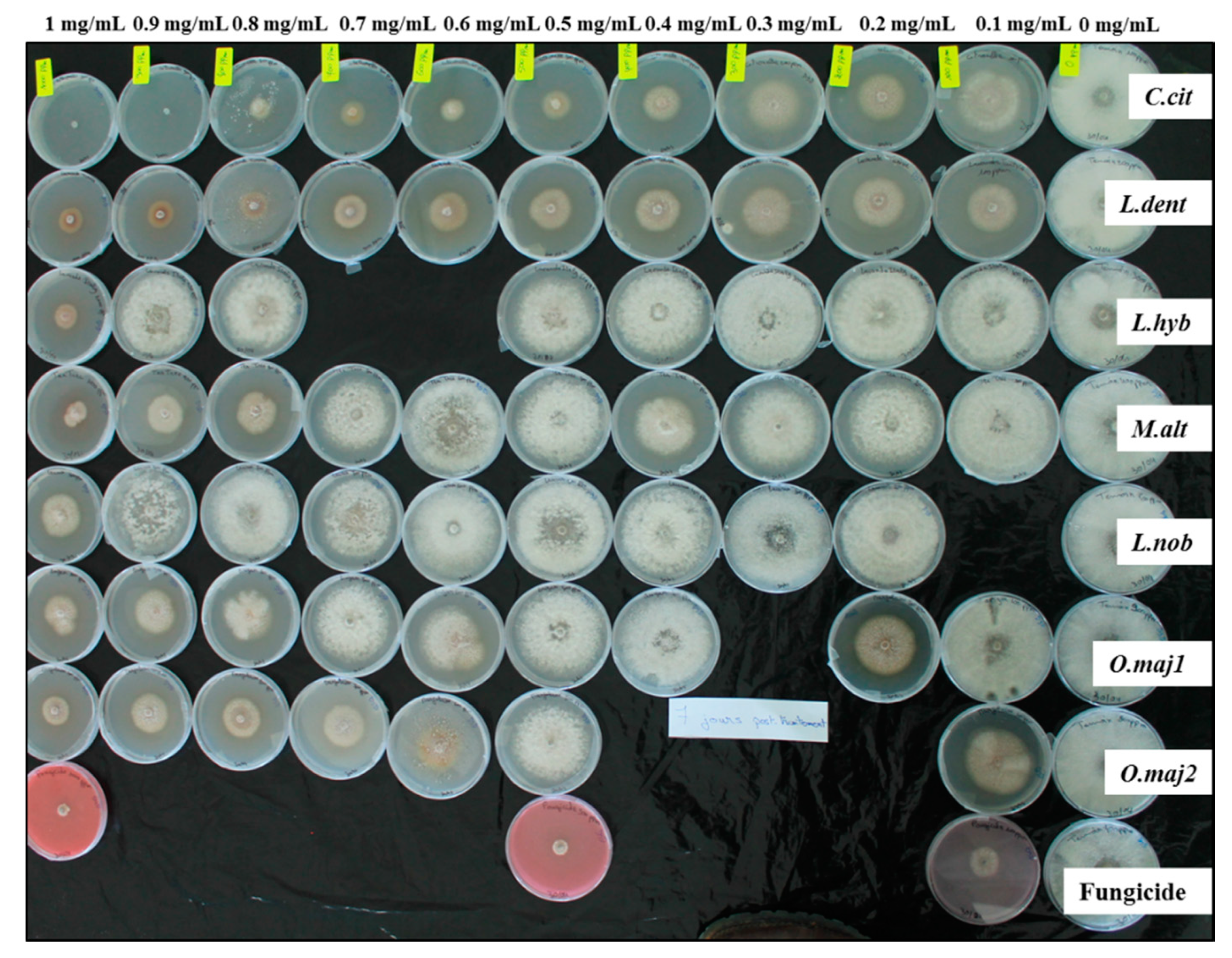 Antibiotics 10 00104 g002 Antibiotics 10 00104 g002