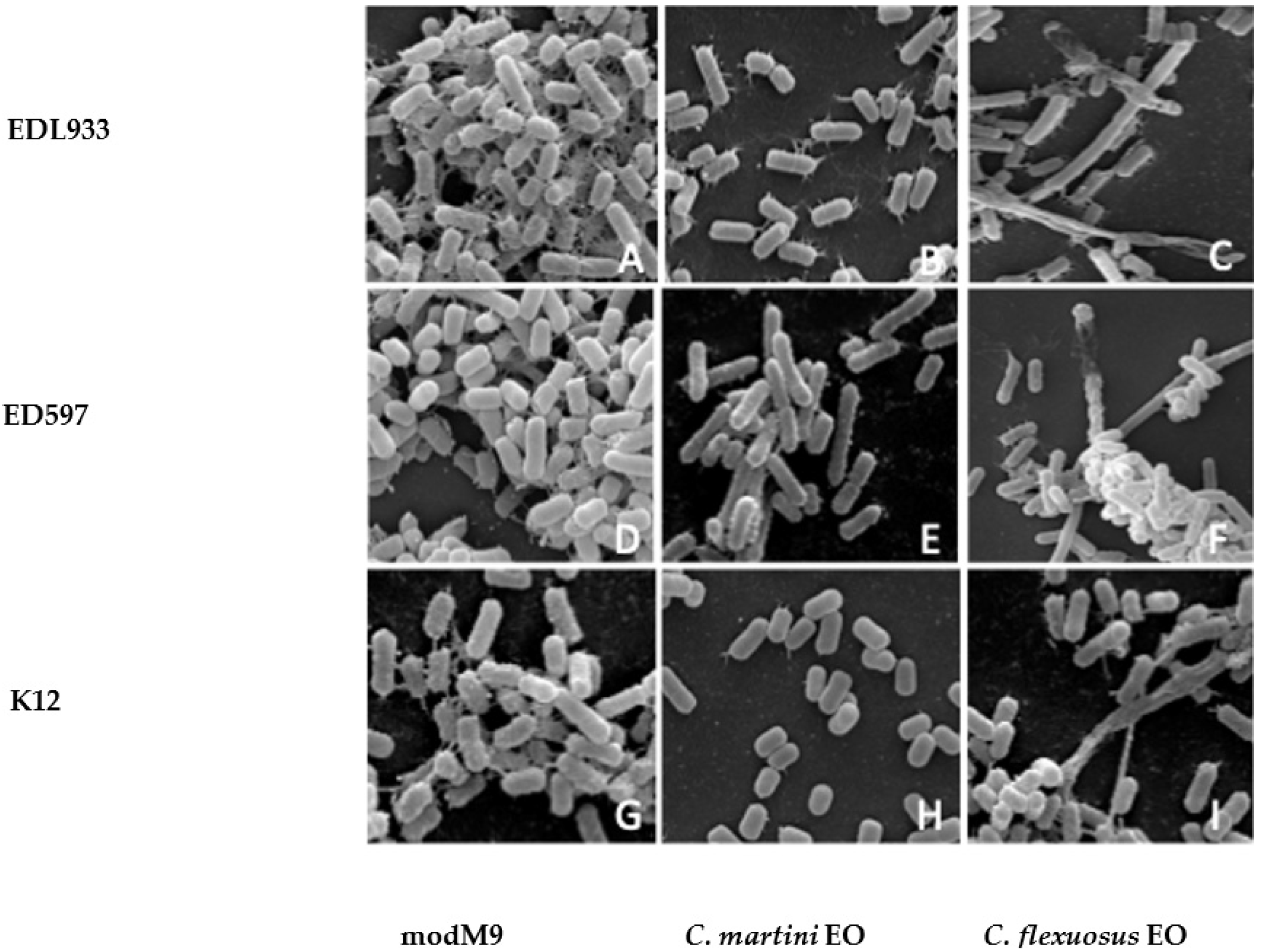 Antibiotics 10 00113 g004 Antibiotics 10 00113 g004