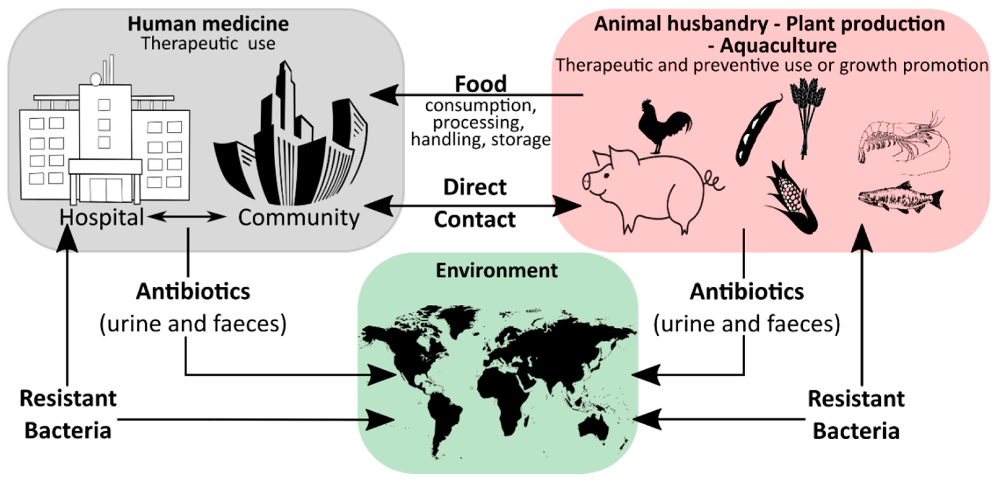 Antibiotics 10 00115 g001