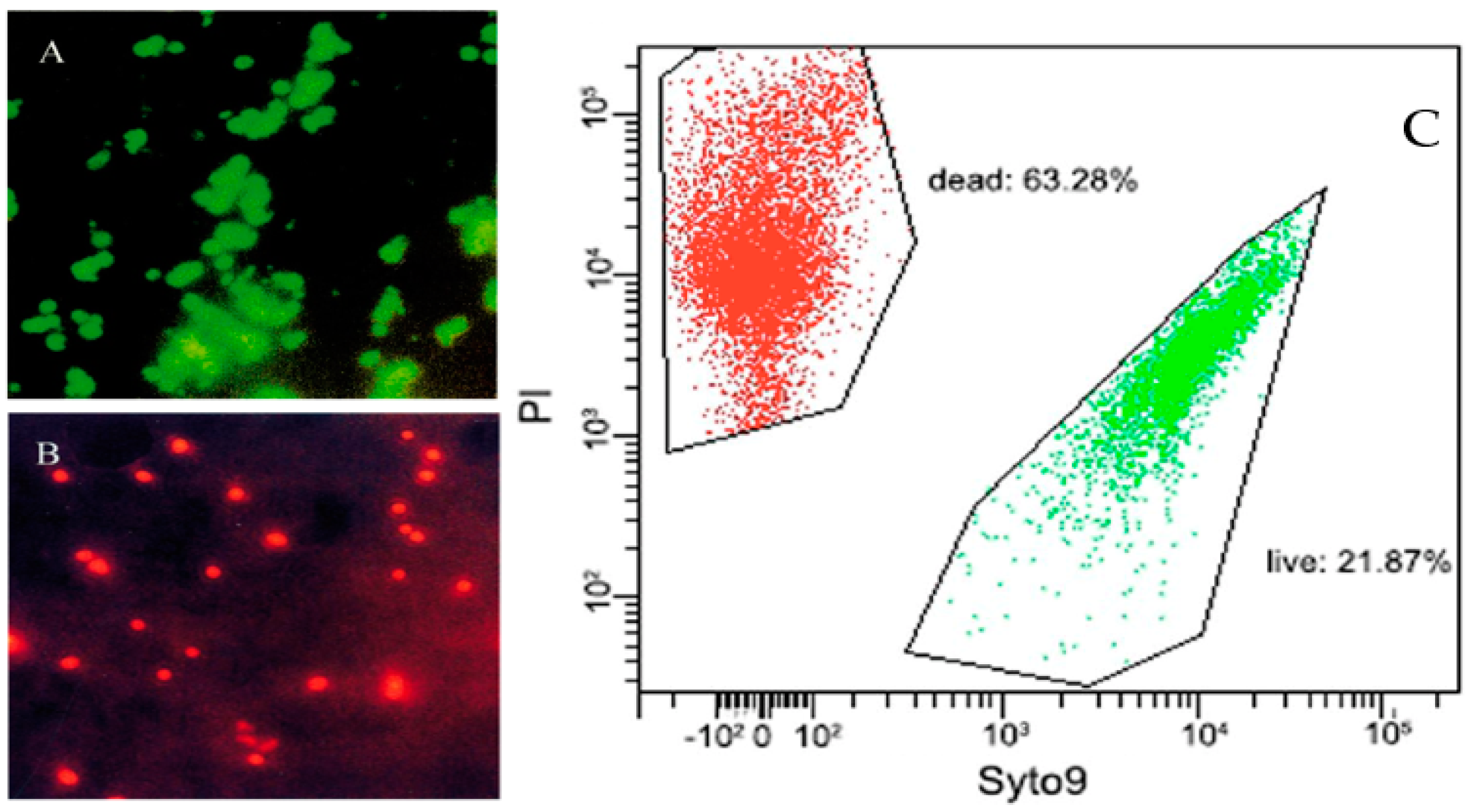 Antibiotics 10 00115 g004