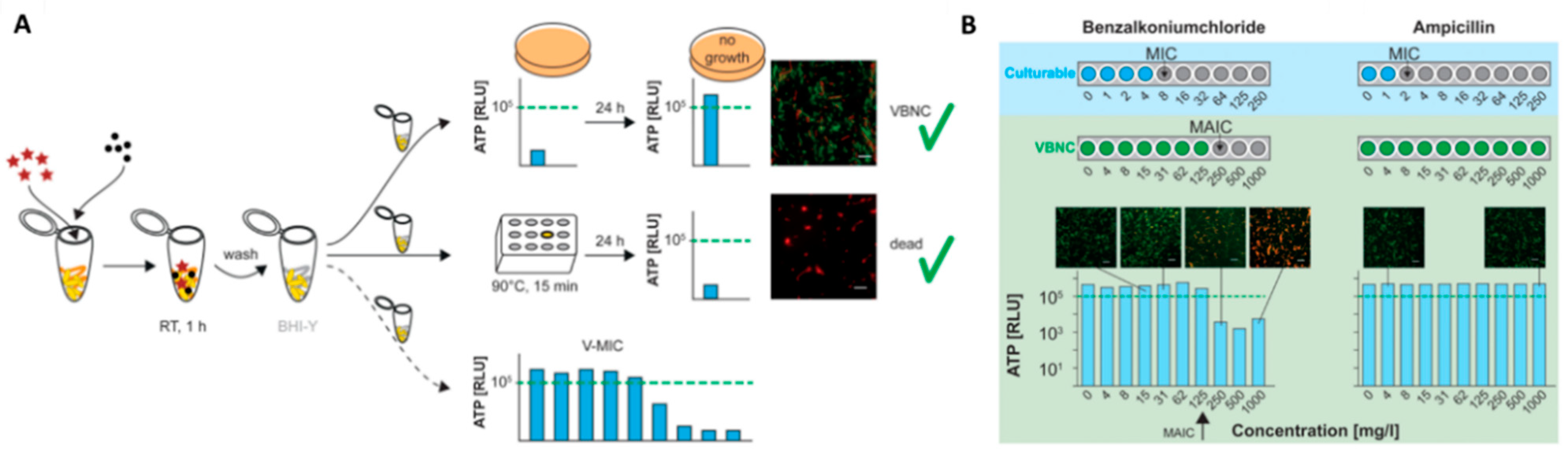 Antibiotics 10 00115 g006
