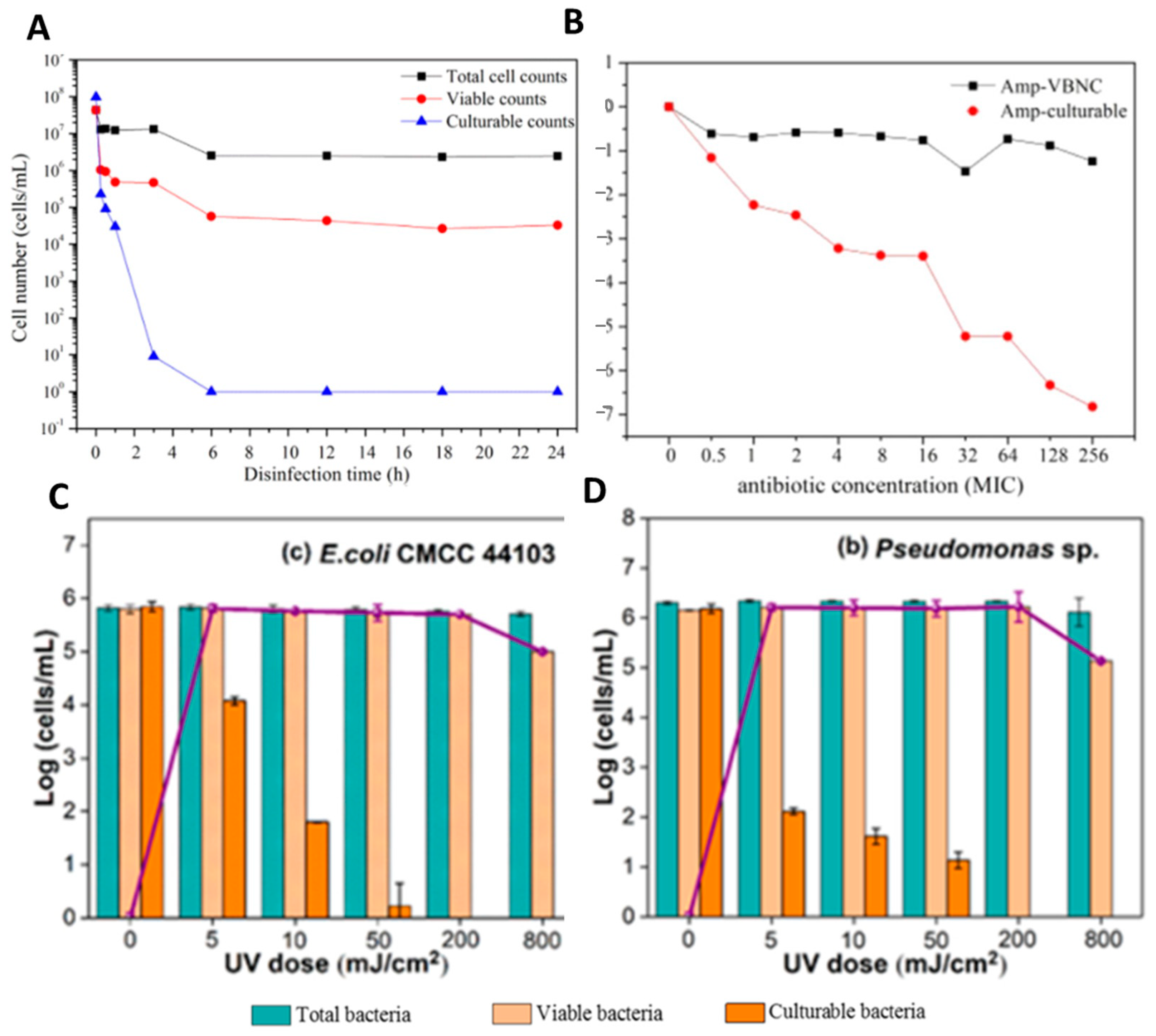 Antibiotics 10 00115 g007