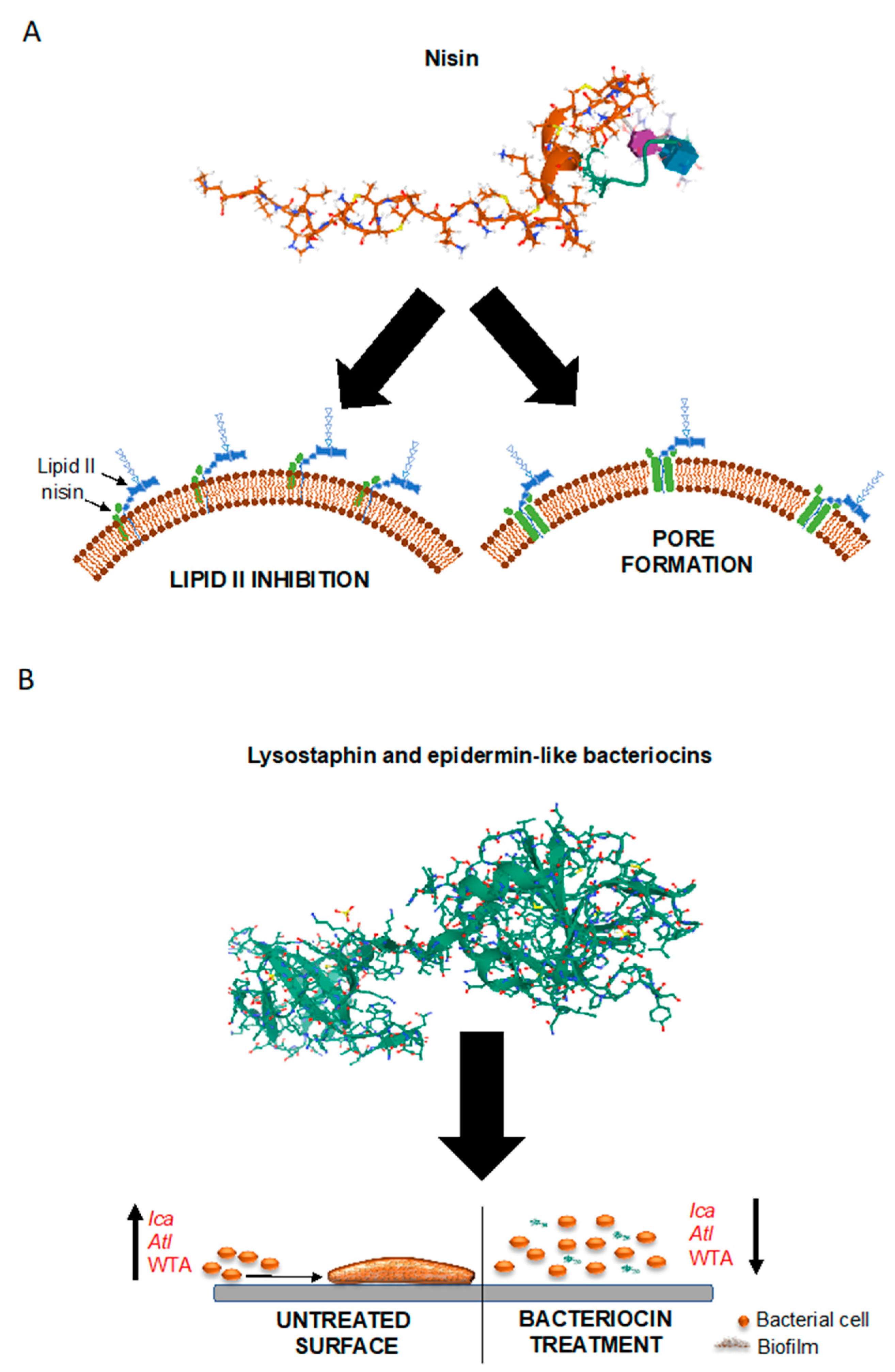 Antibiotics 10 00131 g002 Antibiotics 10 00131 g002