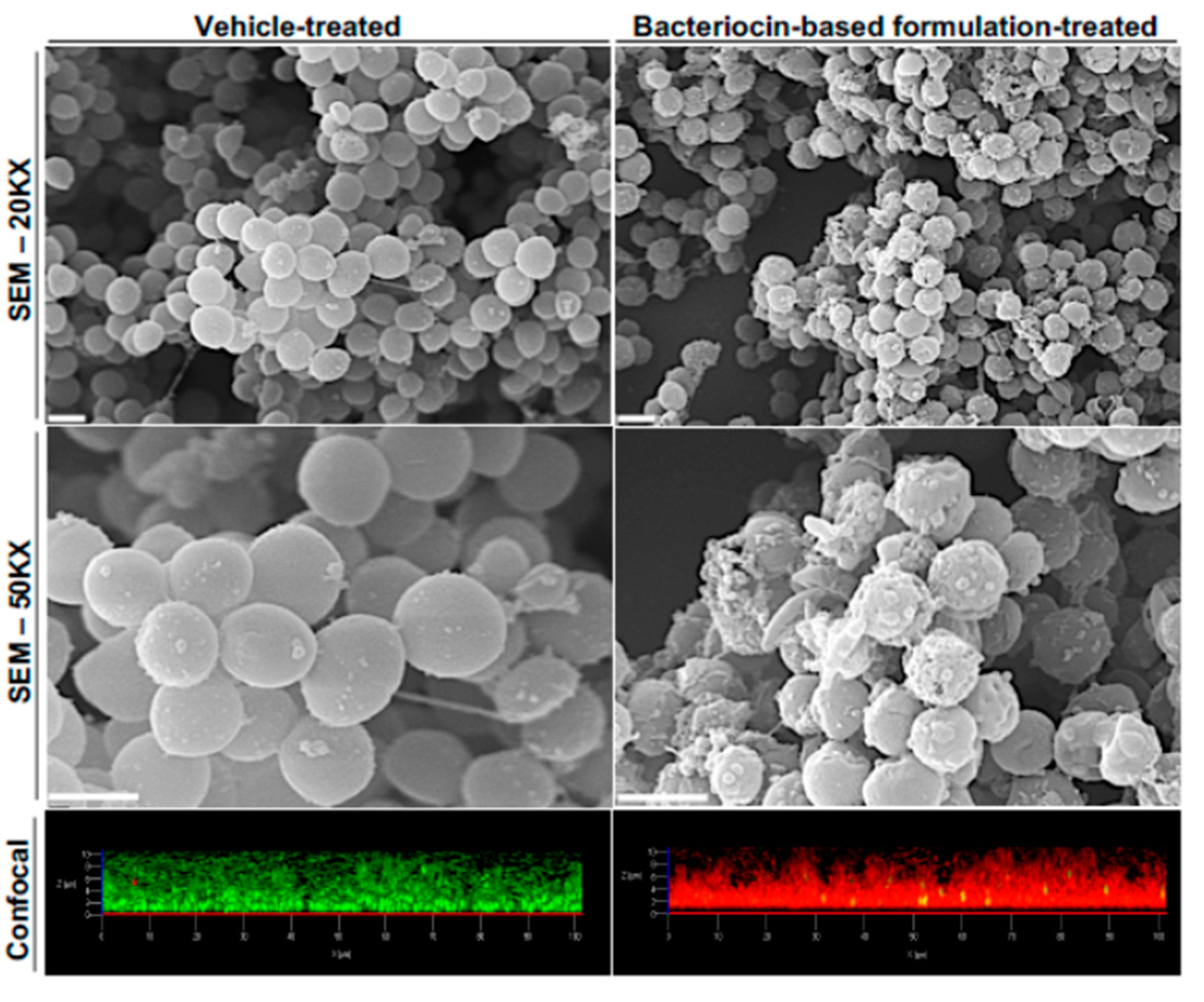 Antibiotics 10 00131 g003 Antibiotics 10 00131 g003
