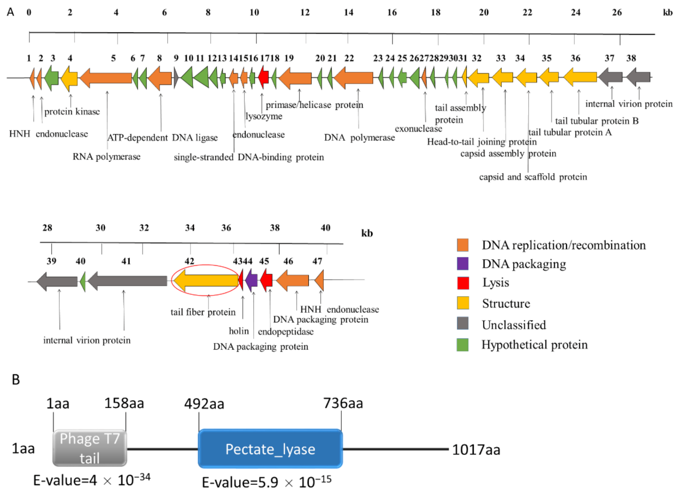 Antibiotics 10 00144 g002