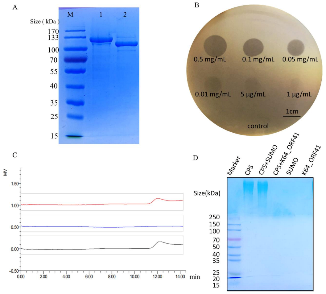 Antibiotics 10 00144 g003