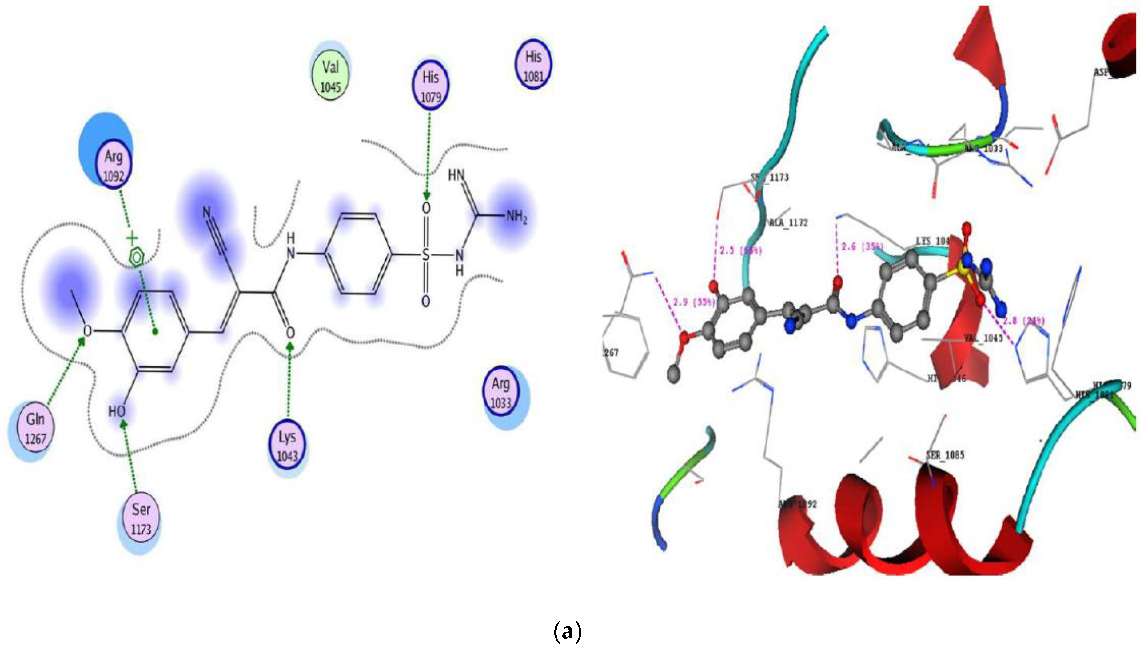 Antibiotics 10 00162 g003a Antibiotics 10 00162 g003a