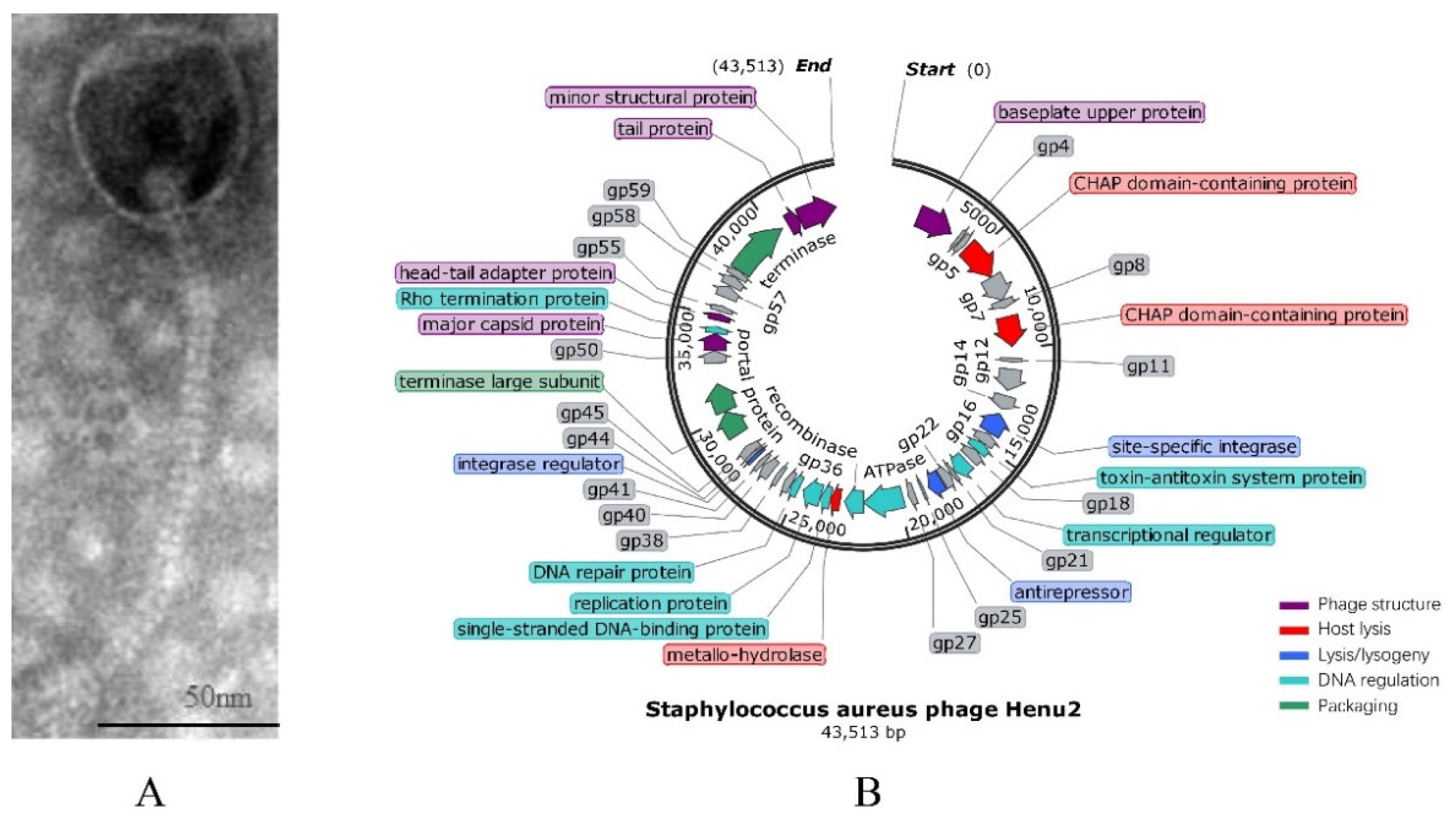 Antibiotics 10 00174 g001 Antibiotics 10 00174 g001