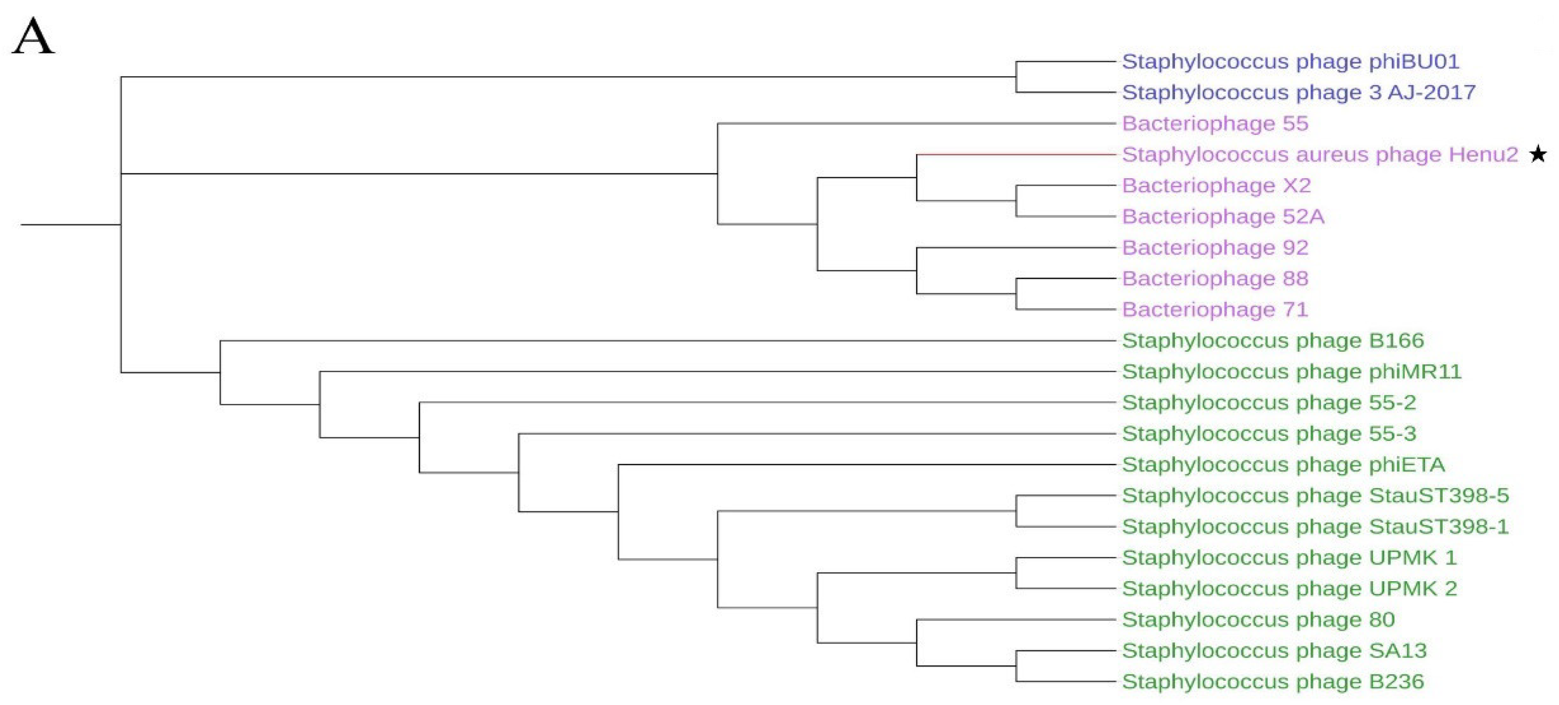 Antibiotics 10 00174 g003a Antibiotics 10 00174 g003a