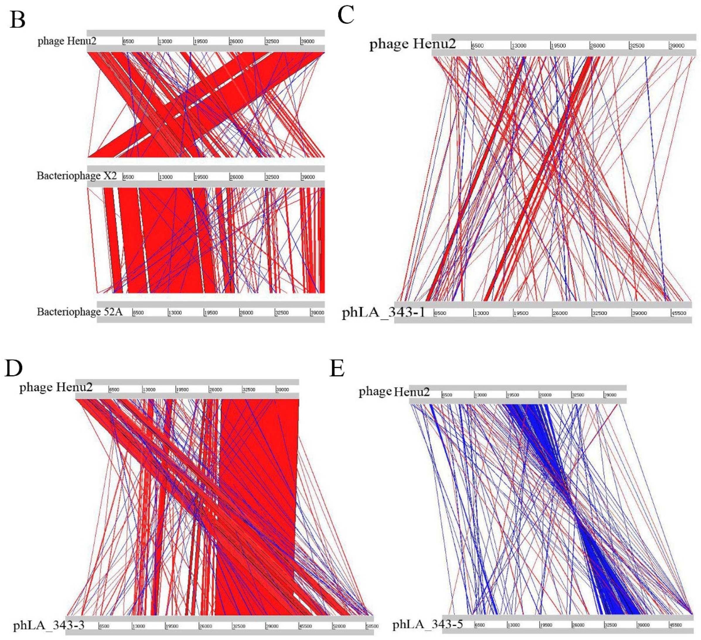 Antibiotics 10 00174 g003b Antibiotics 10 00174 g003b